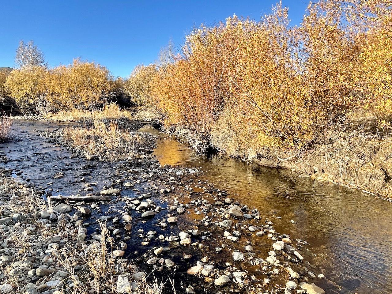 Upper Antelope Creek Ranch property picture 48 of 49