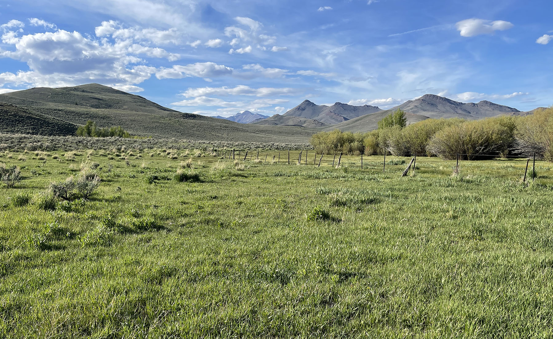 Upper Antelope Creek Ranch property picture 20 of 49