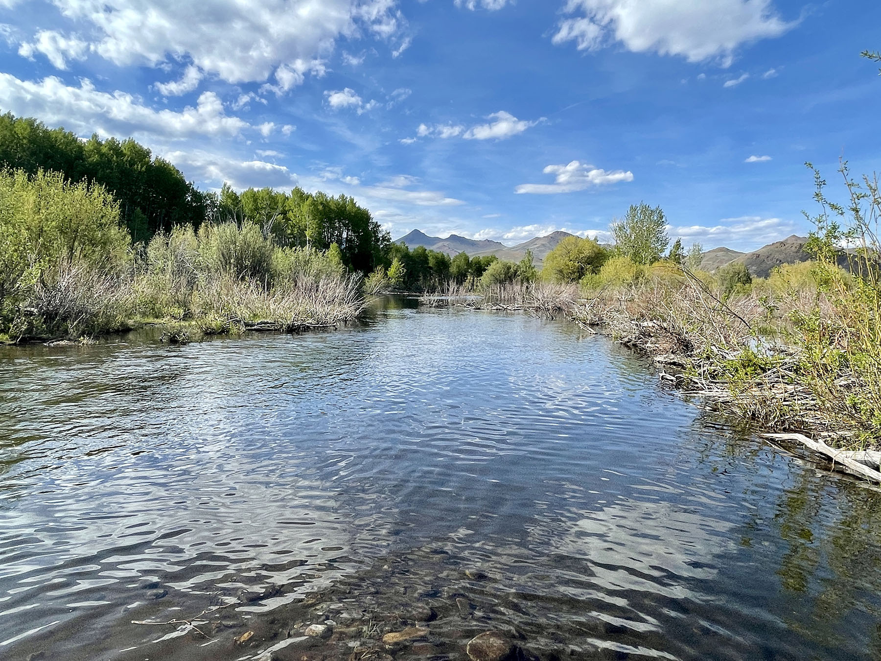 Upper Antelope Creek Ranch property picture 4 of 49