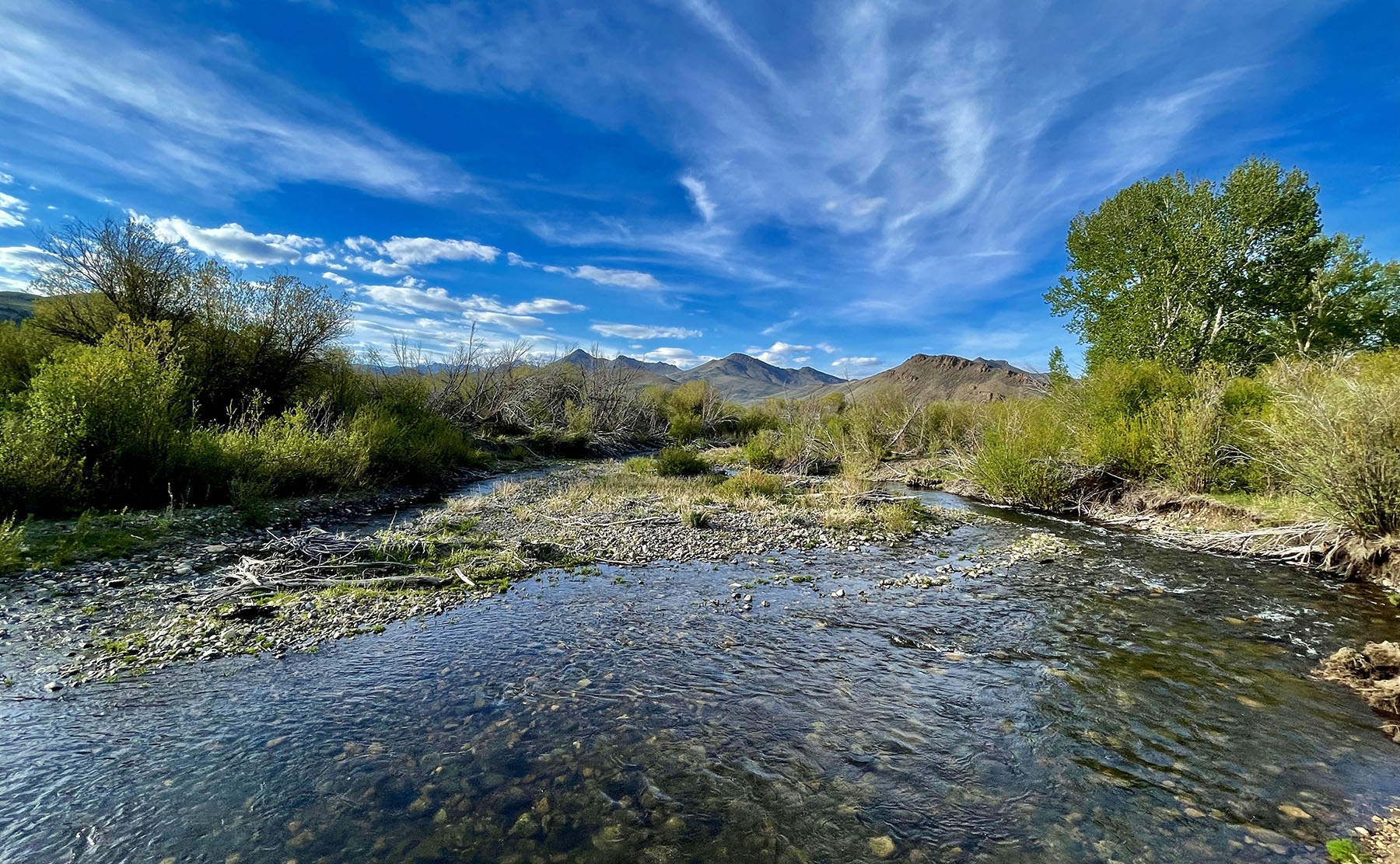 Upper Antelope Creek Ranch property picture 31 of 49