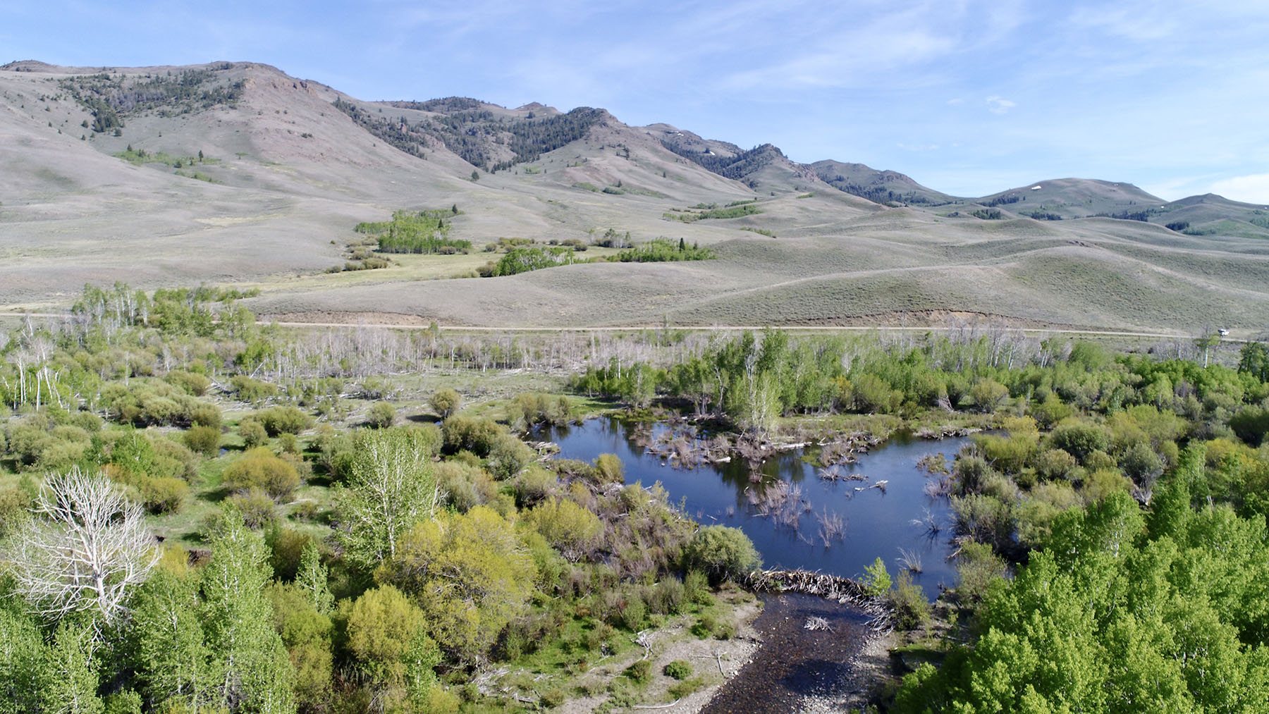 Upper Antelope Creek Ranch property picture 21 of 49