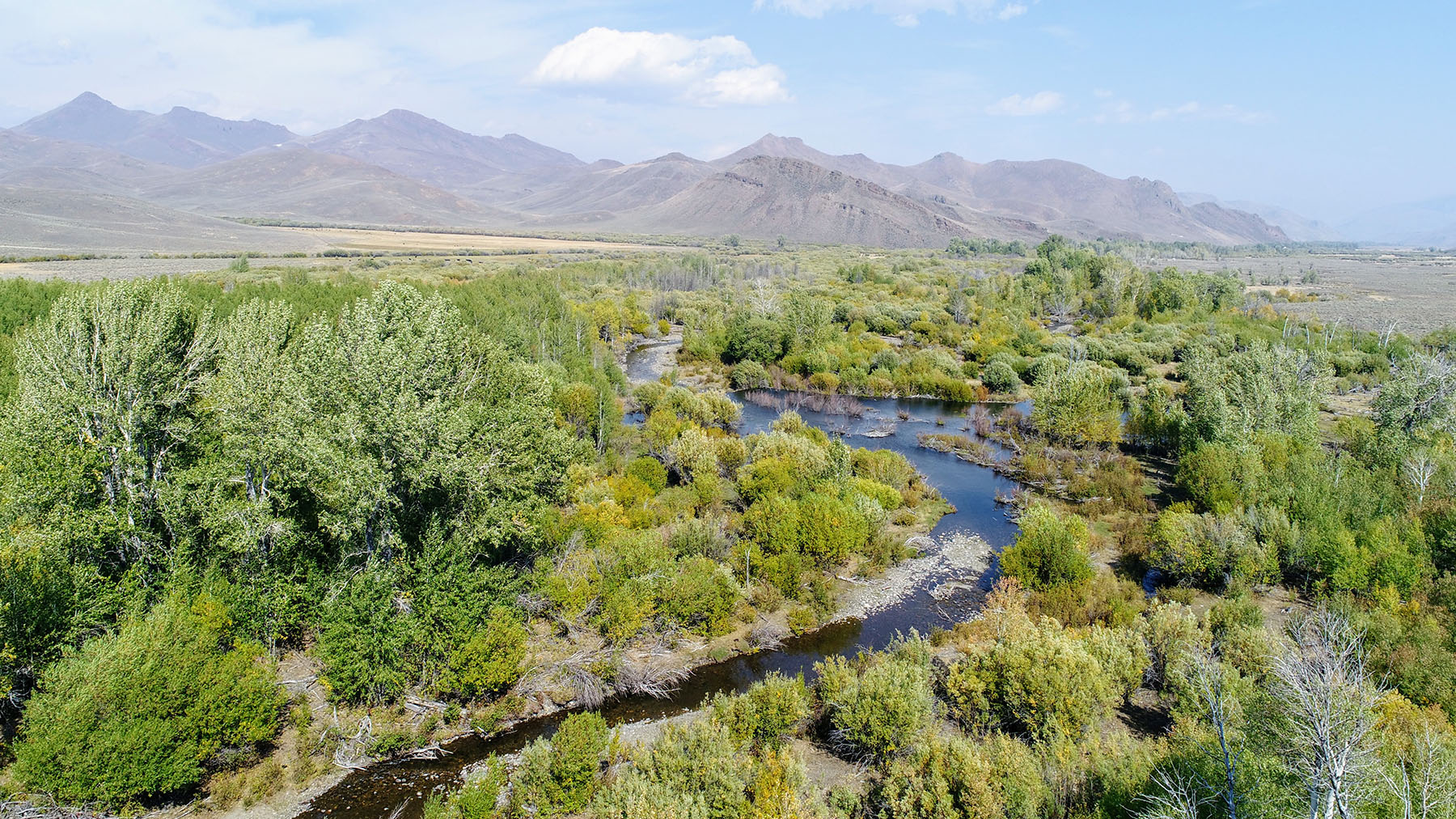 Upper Antelope Creek Ranch property picture 32 of 49