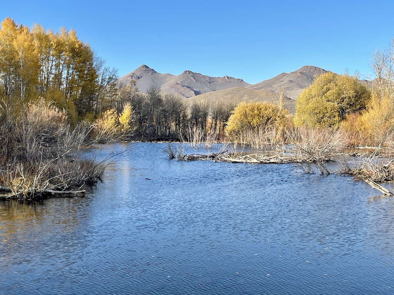 Upper Antelope Creek Ranch property picture 46 of 49