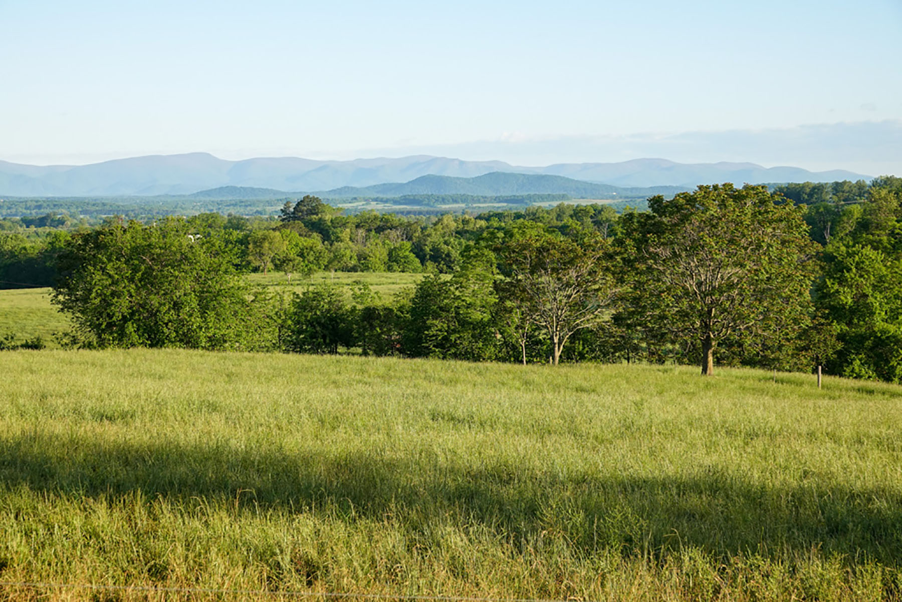 Linden Farm property picture 7 of 59
