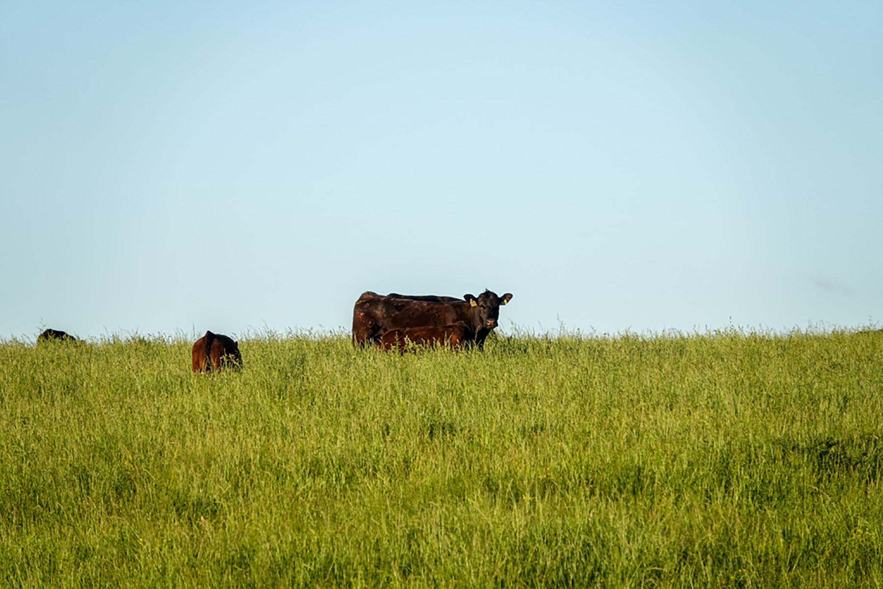 Linden Farm property picture 43 of 59