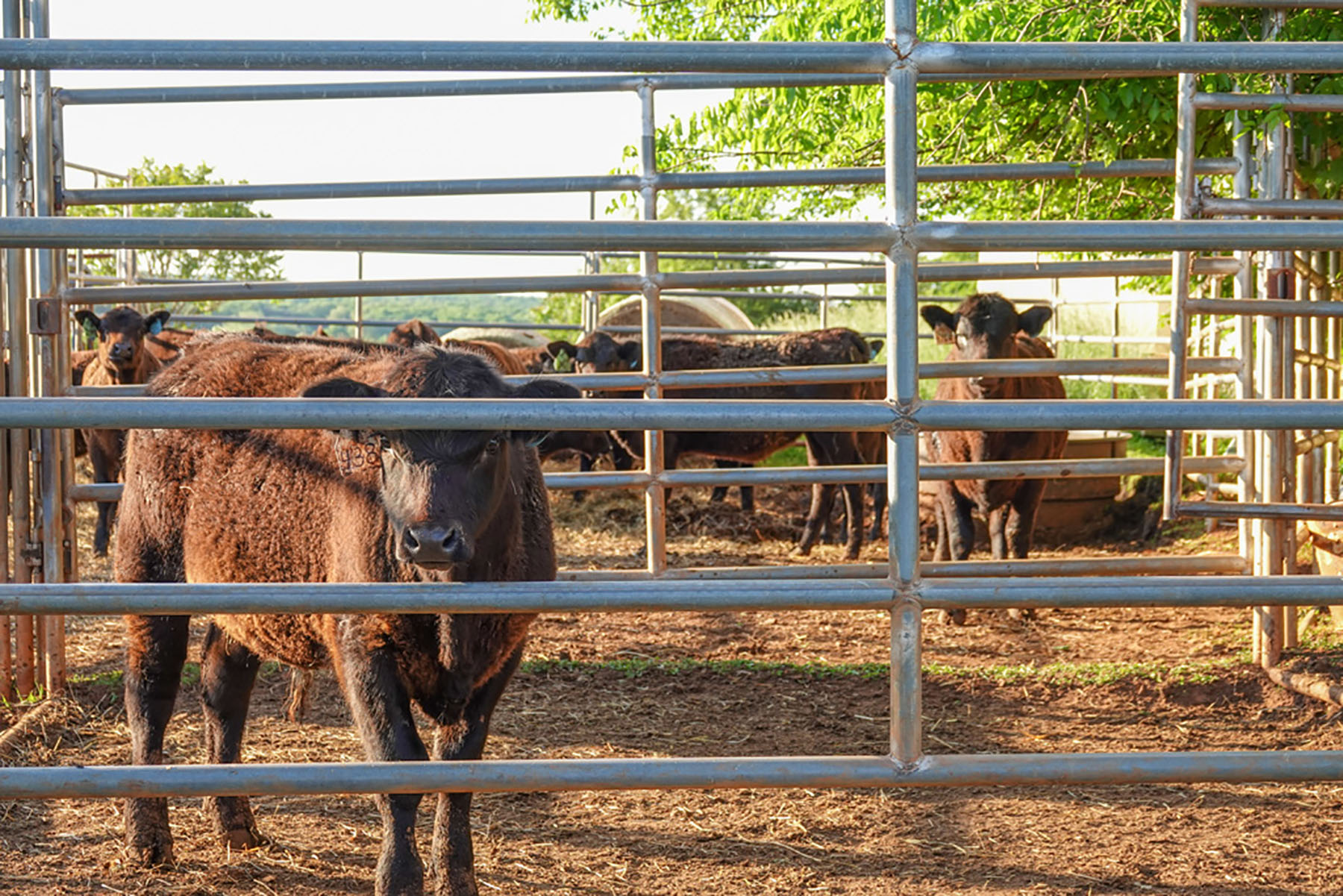 Linden Farm property picture 45 of 59