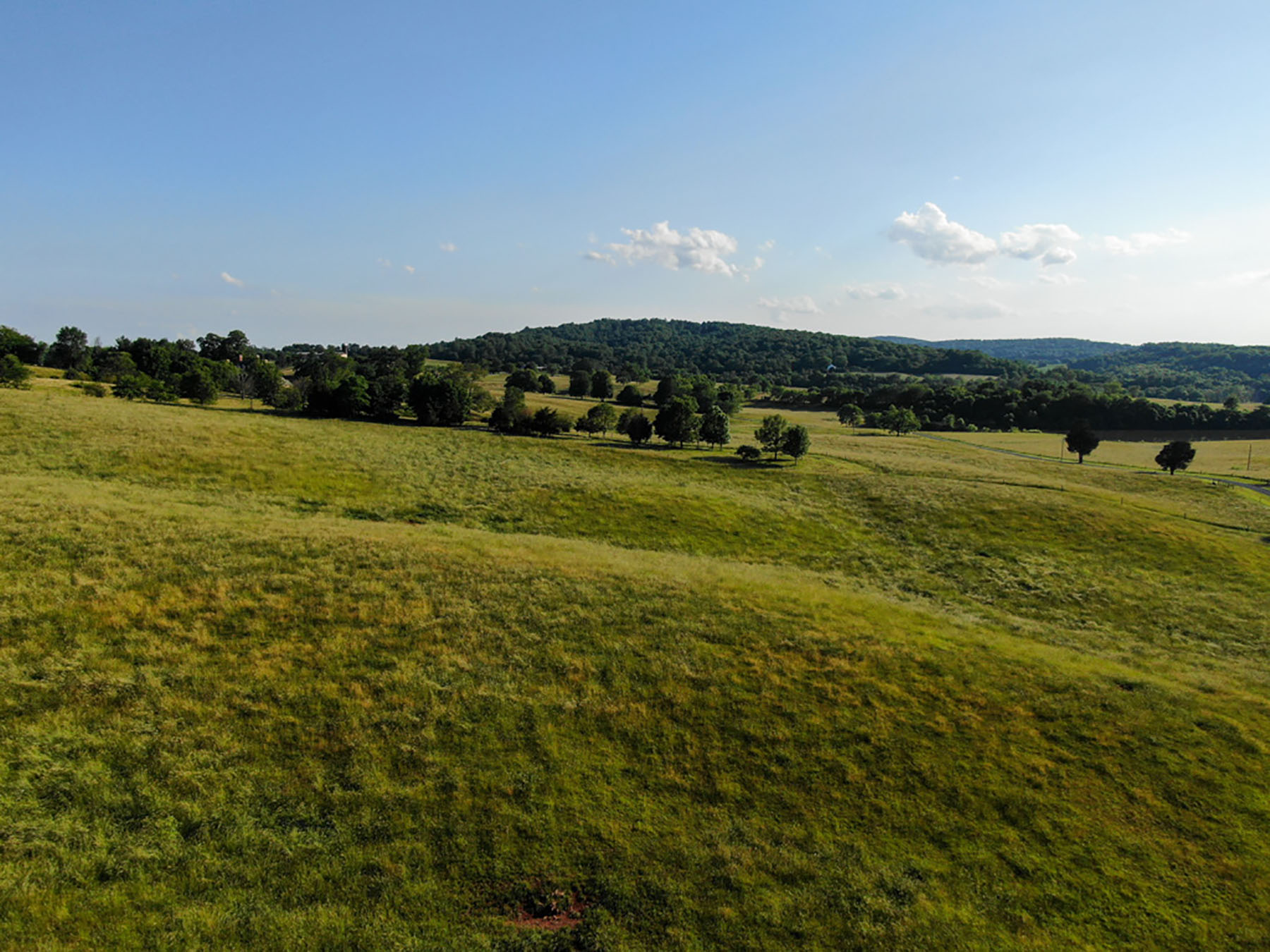 Linden Farm property picture 5 of 59
