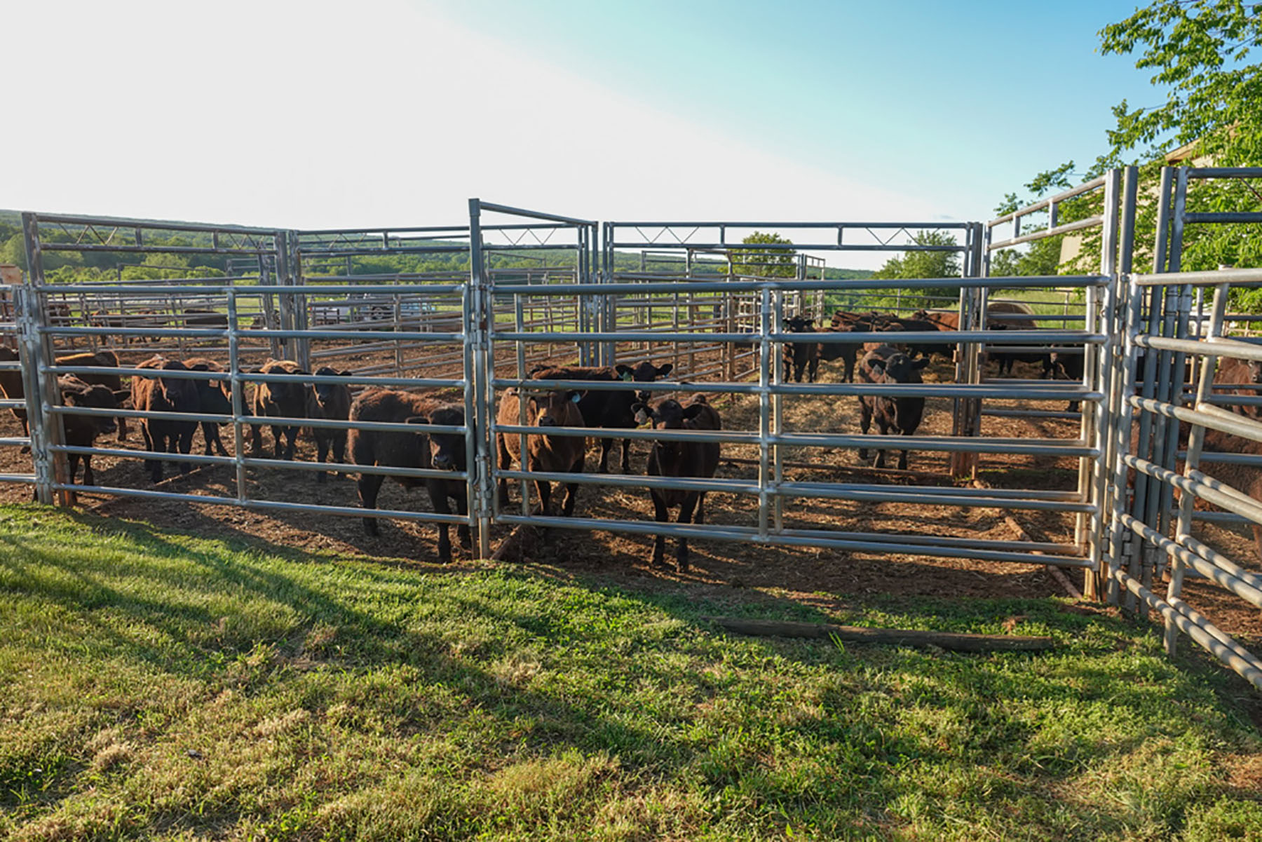 Linden Farm property picture 44 of 59