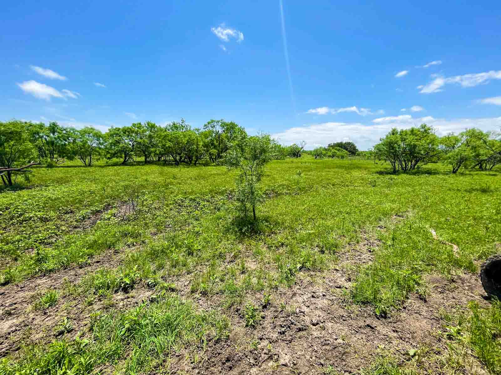 Willow Springs Ranch property picture 61 of 83