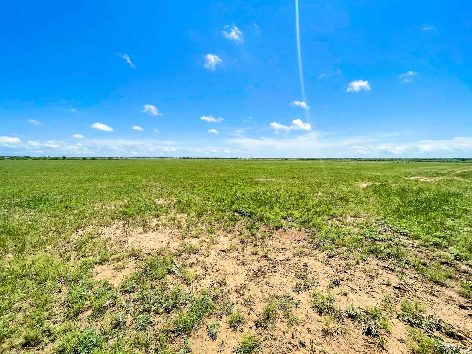 Willow Springs Ranch property picture 15 of 83