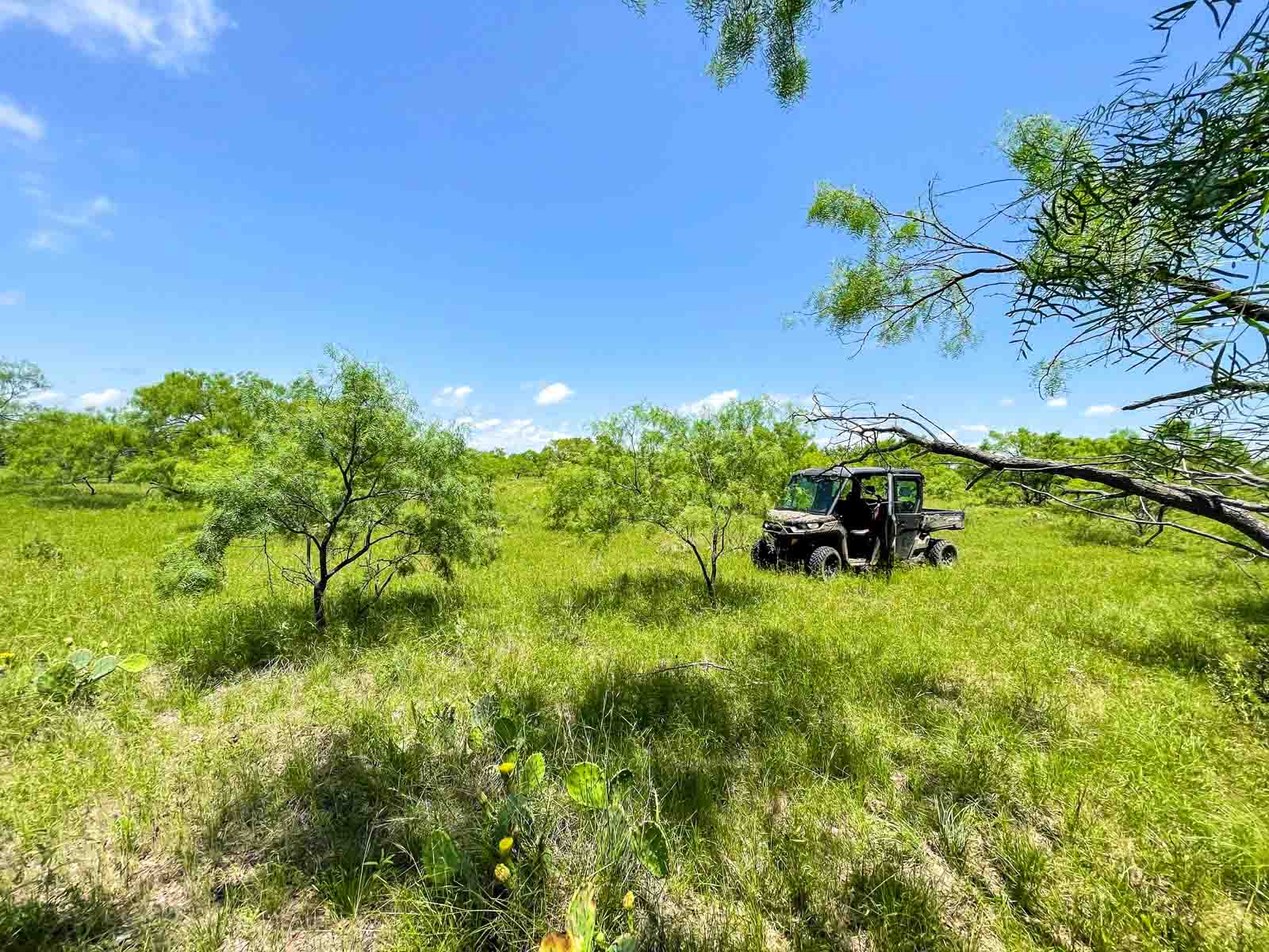 Willow Springs Ranch Sold Texas Hall and Hall