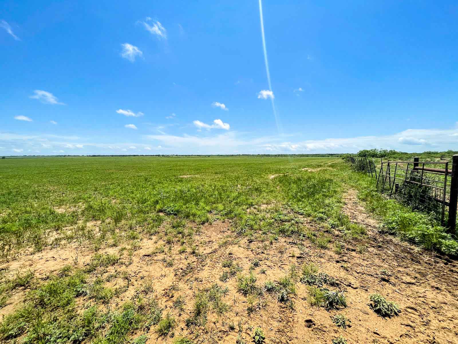 Willow Springs Ranch property picture 24 of 83