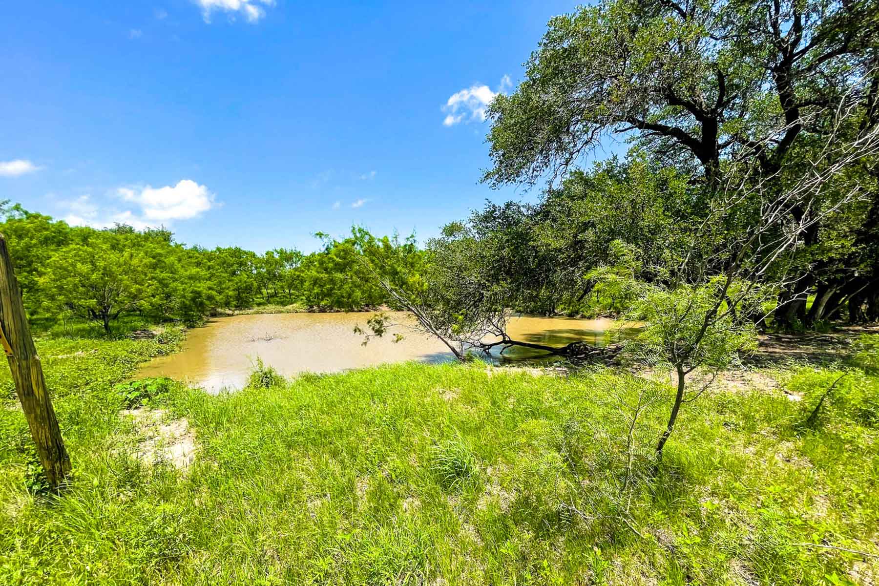 Willow Springs Ranch property picture 2 of 83