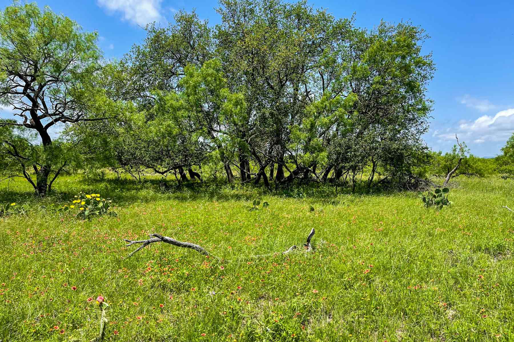Willow Springs Ranch property picture 60 of 83
