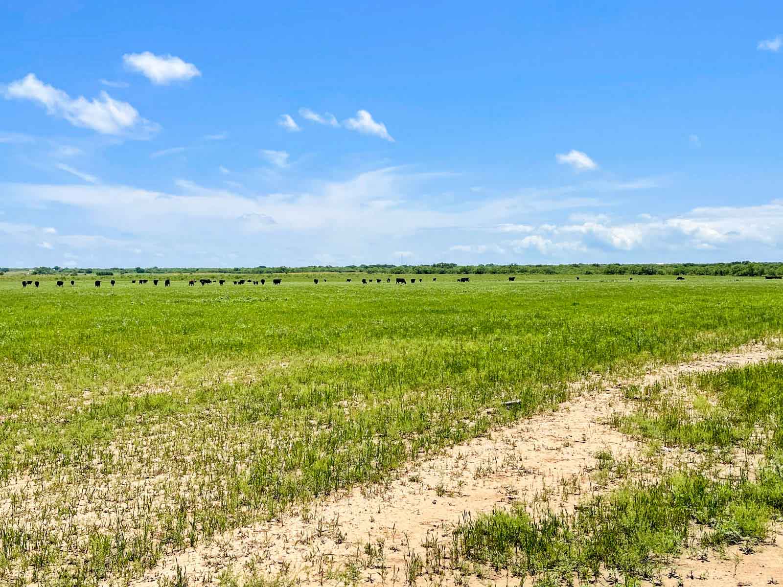 Willow Springs Ranch property picture 56 of 83