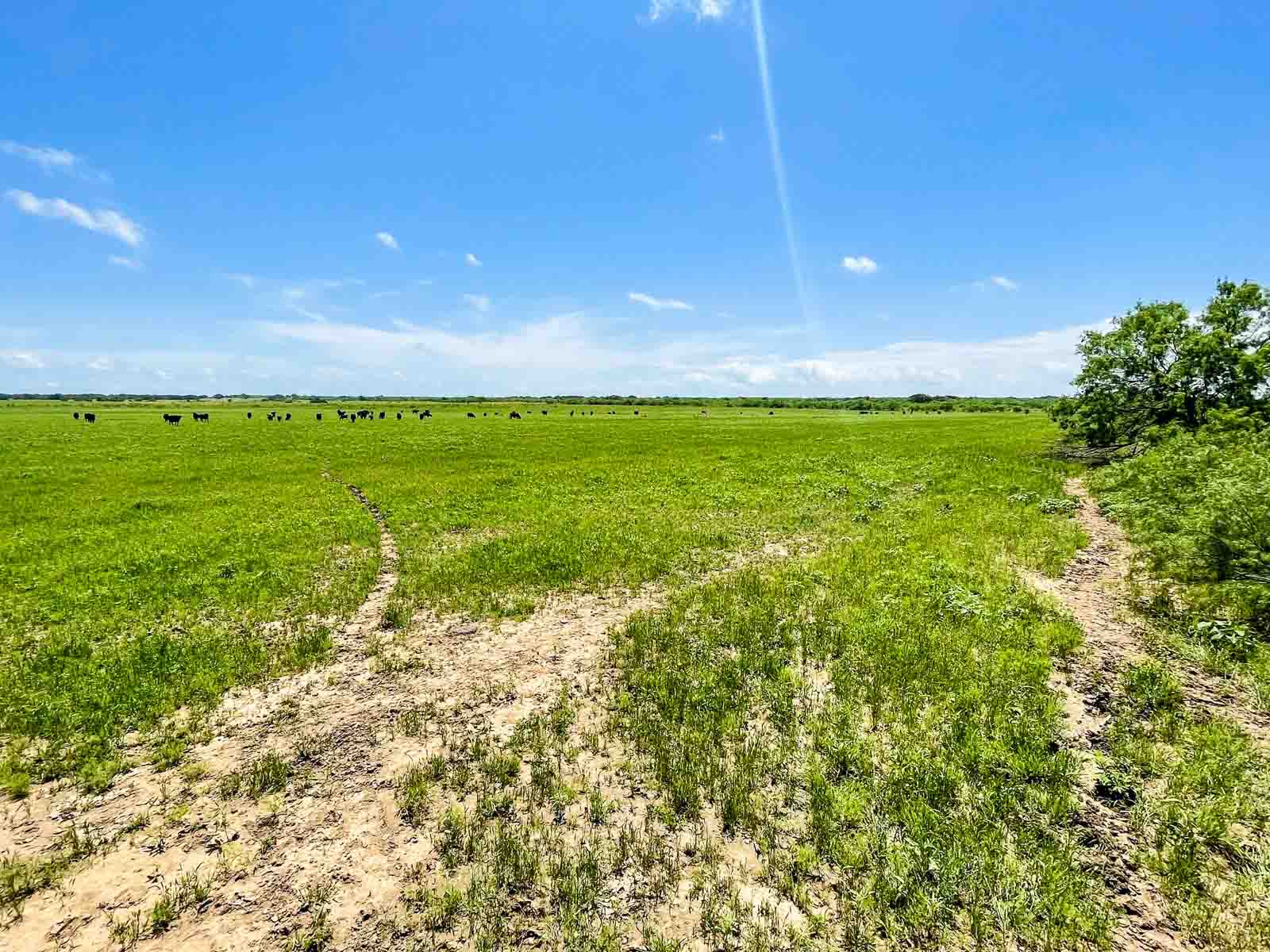 Willow Springs Ranch property picture 7 of 83