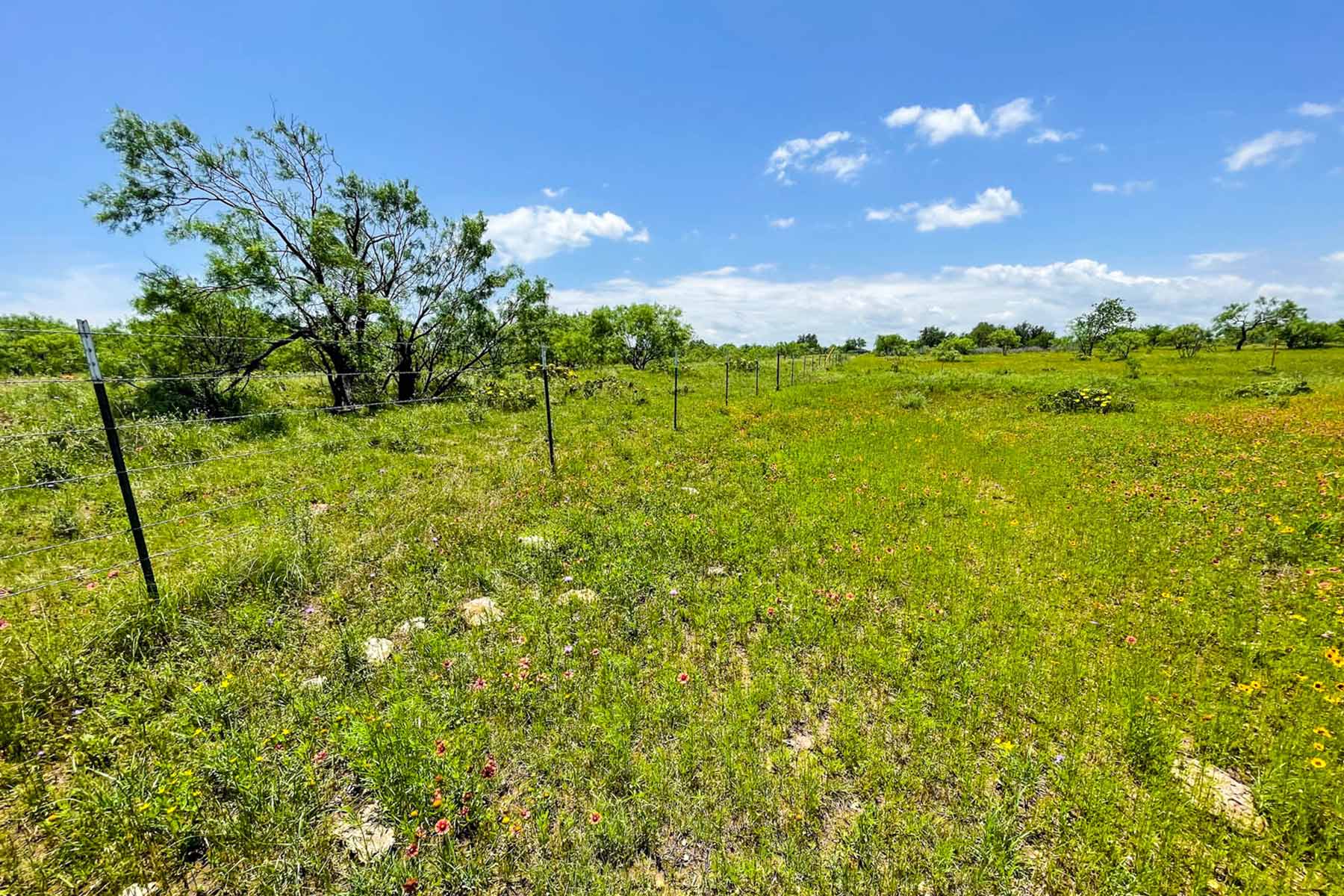 Willow Springs Ranch property picture 64 of 83