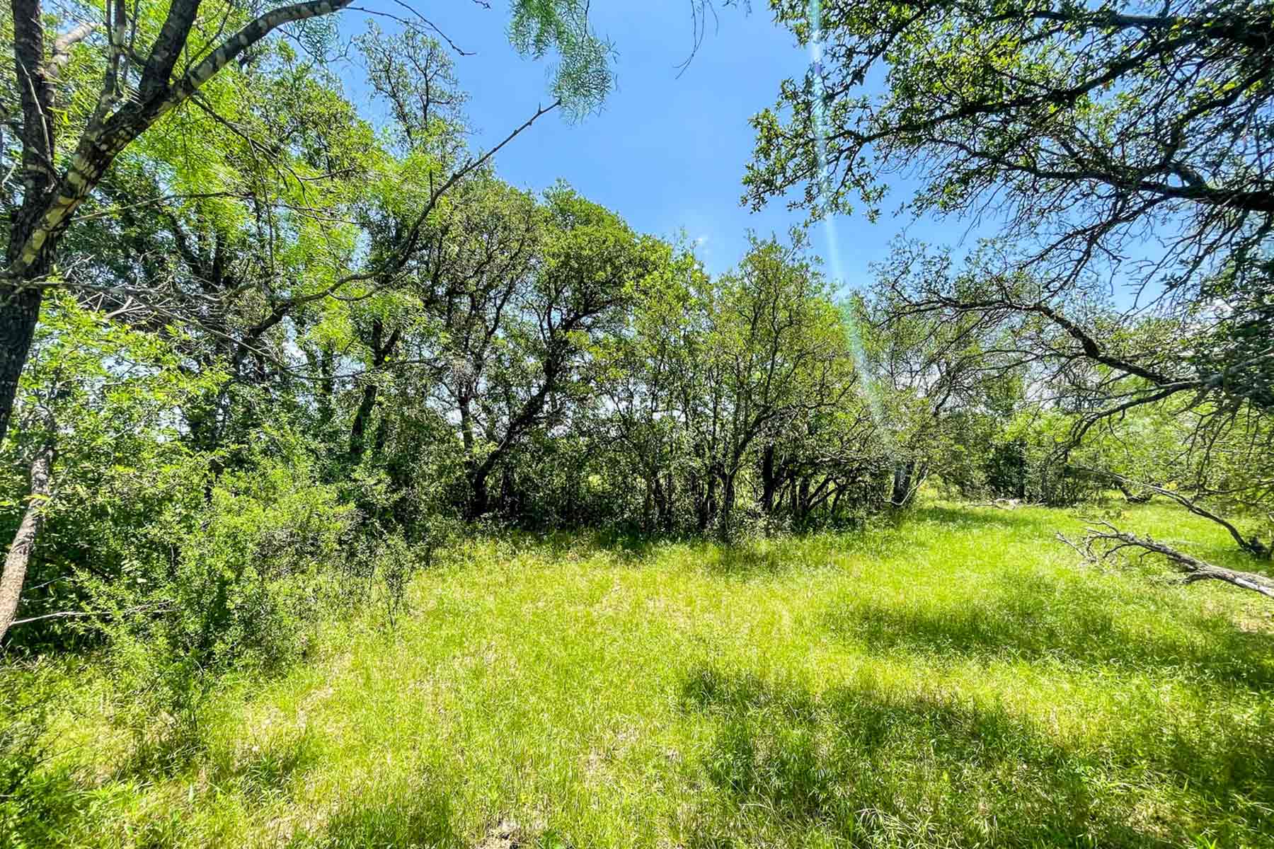 Willow Springs Ranch property picture 20 of 83