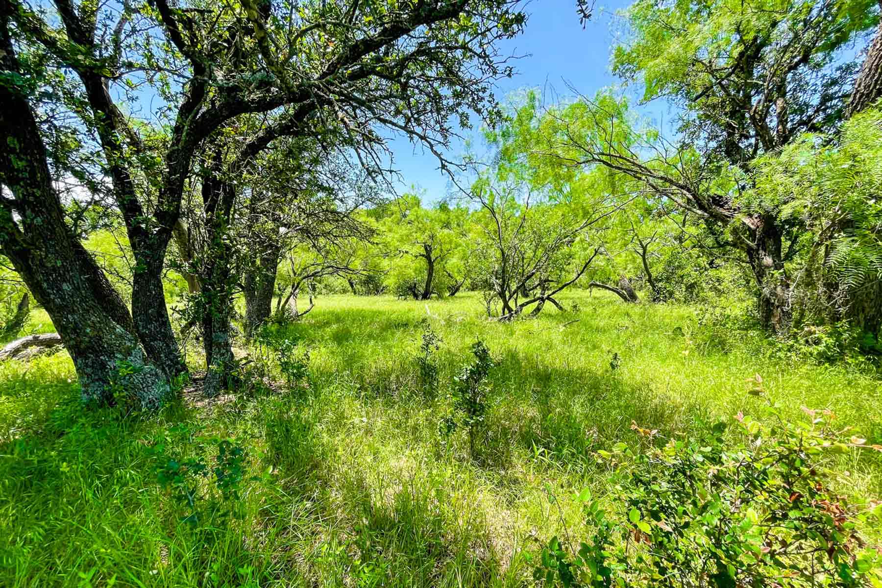 Willow Springs Ranch property picture 21 of 83