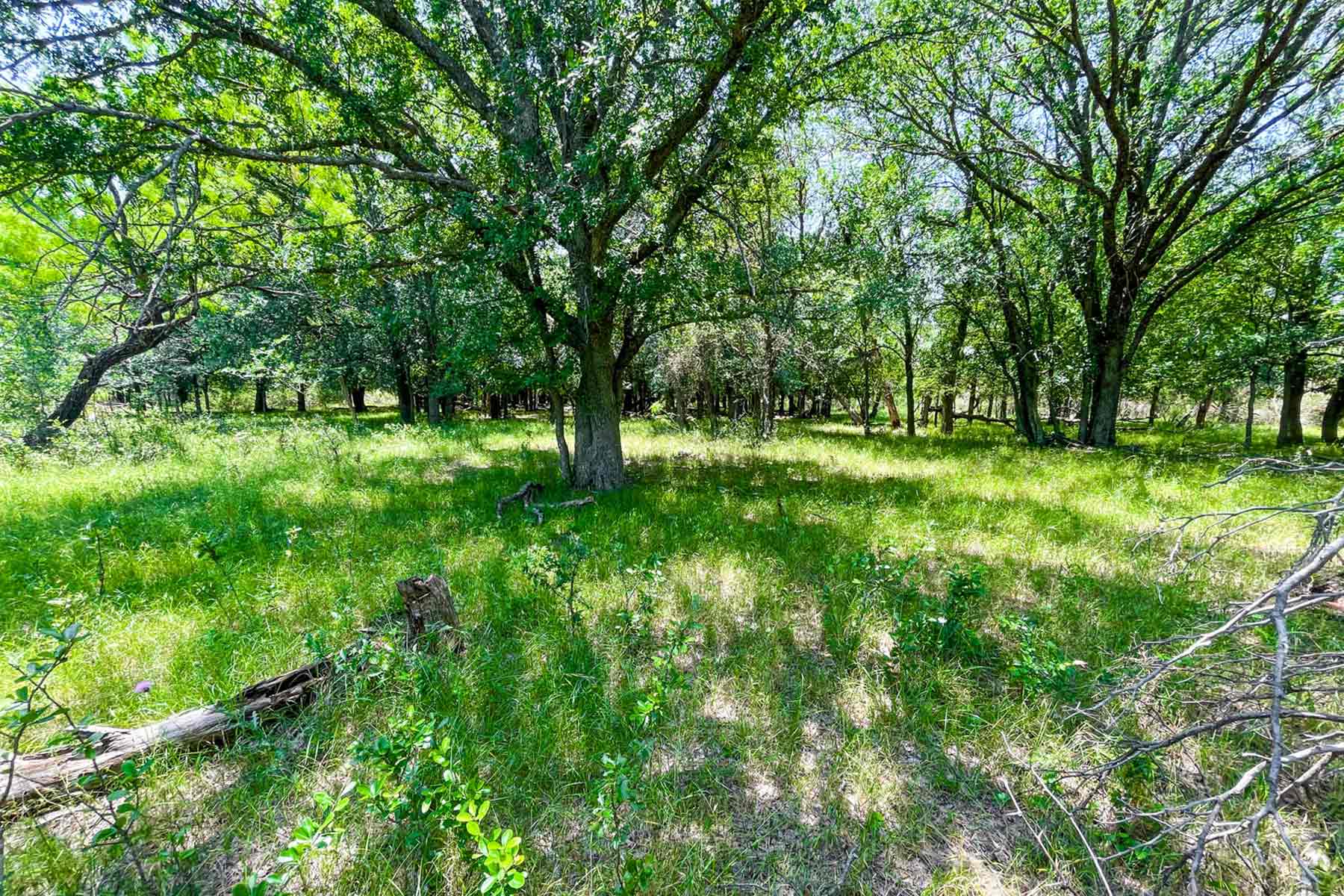 Willow Springs Ranch property picture 9 of 83