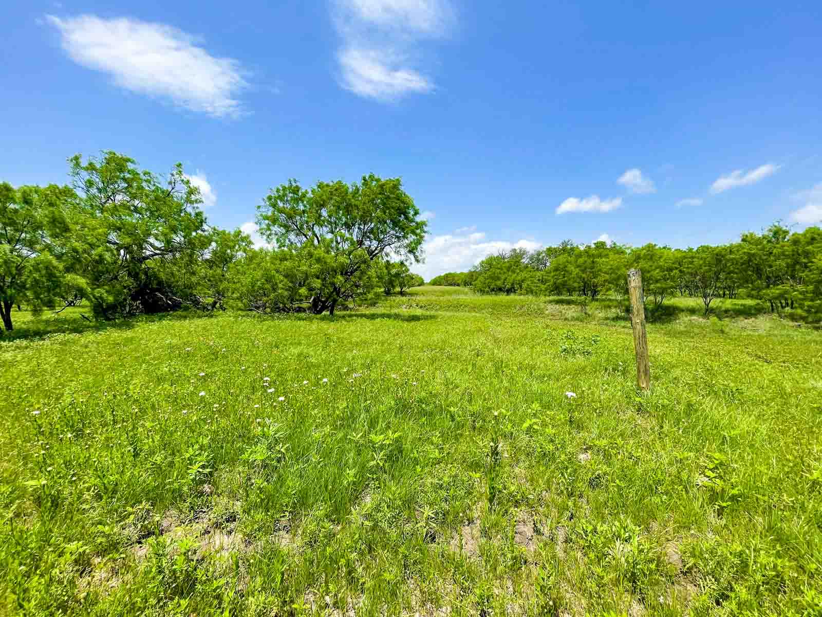 Willow Springs Ranch property picture 79 of 83