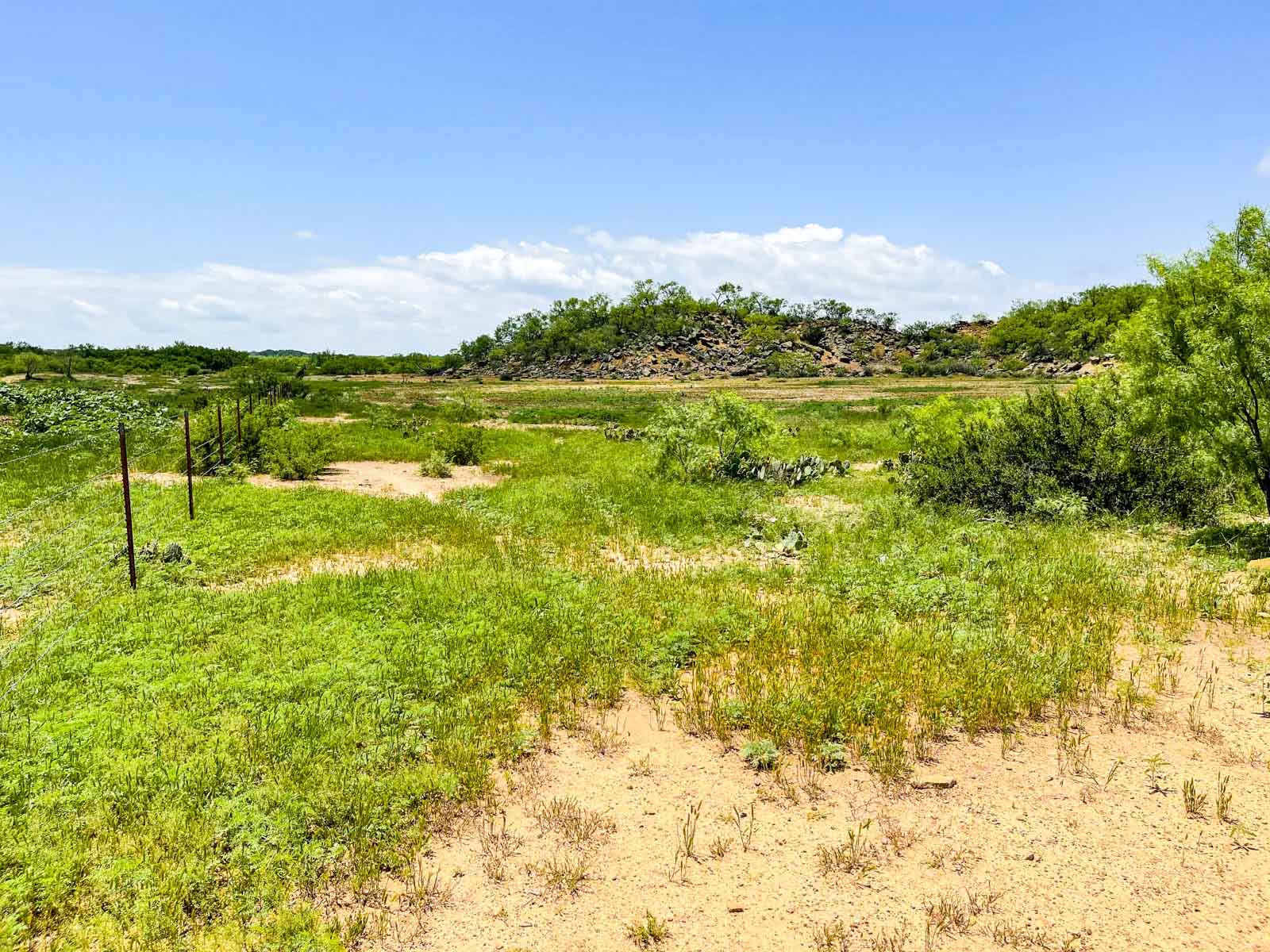 Willow Springs Ranch property picture 52 of 83