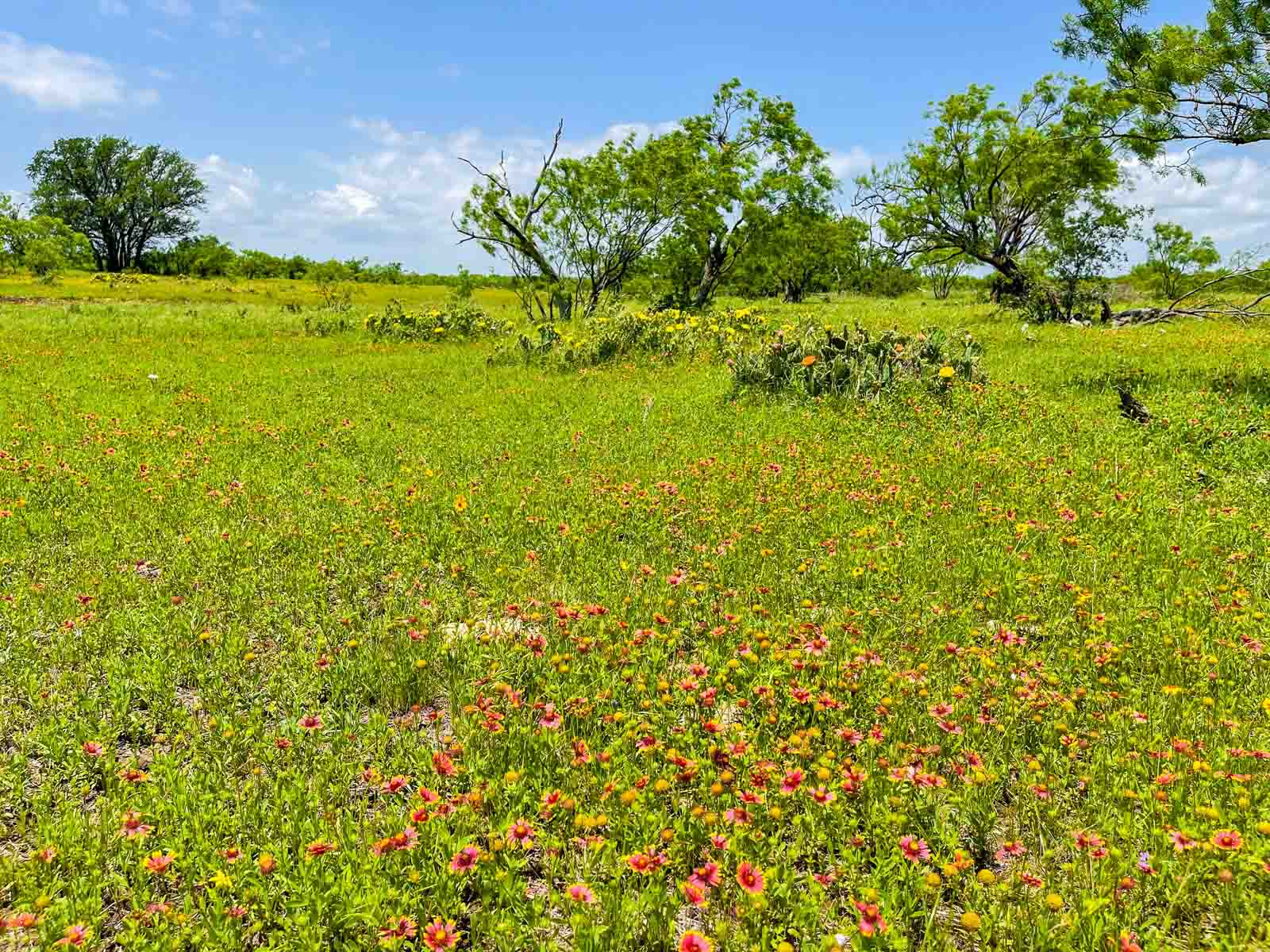 Willow Springs Ranch property picture 57 of 83