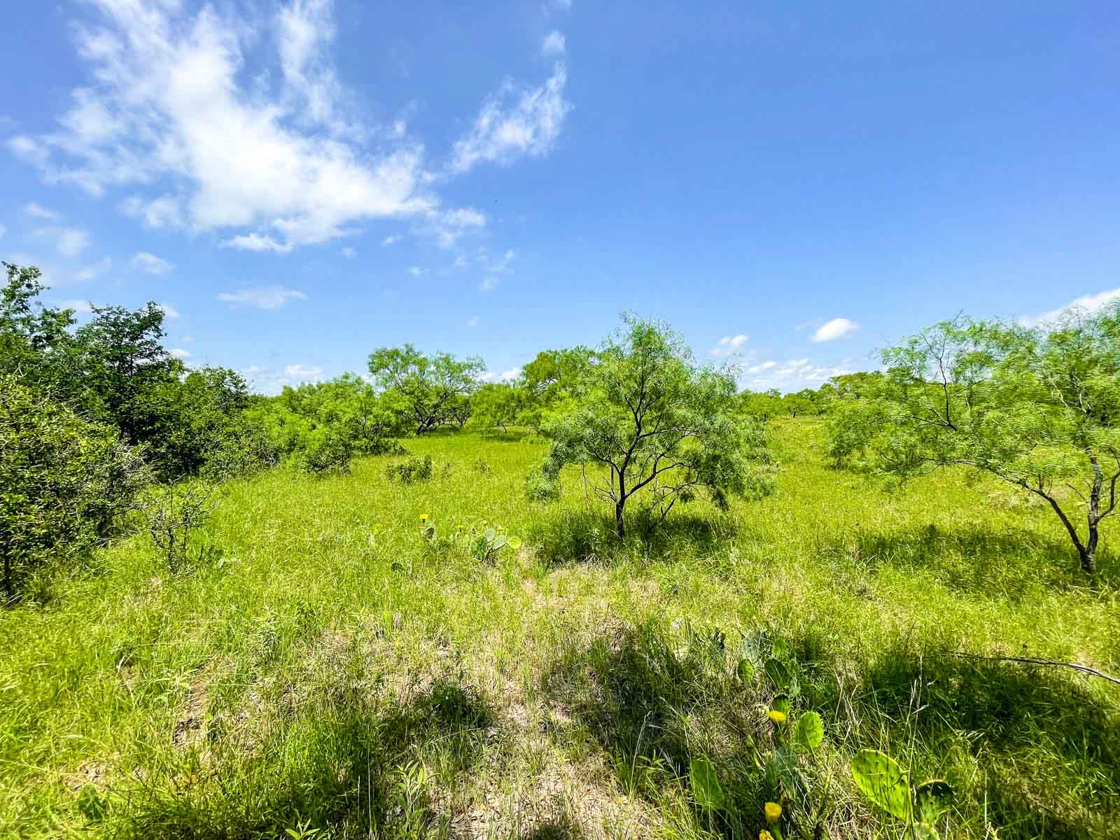 Willow Springs Ranch property picture 65 of 83
