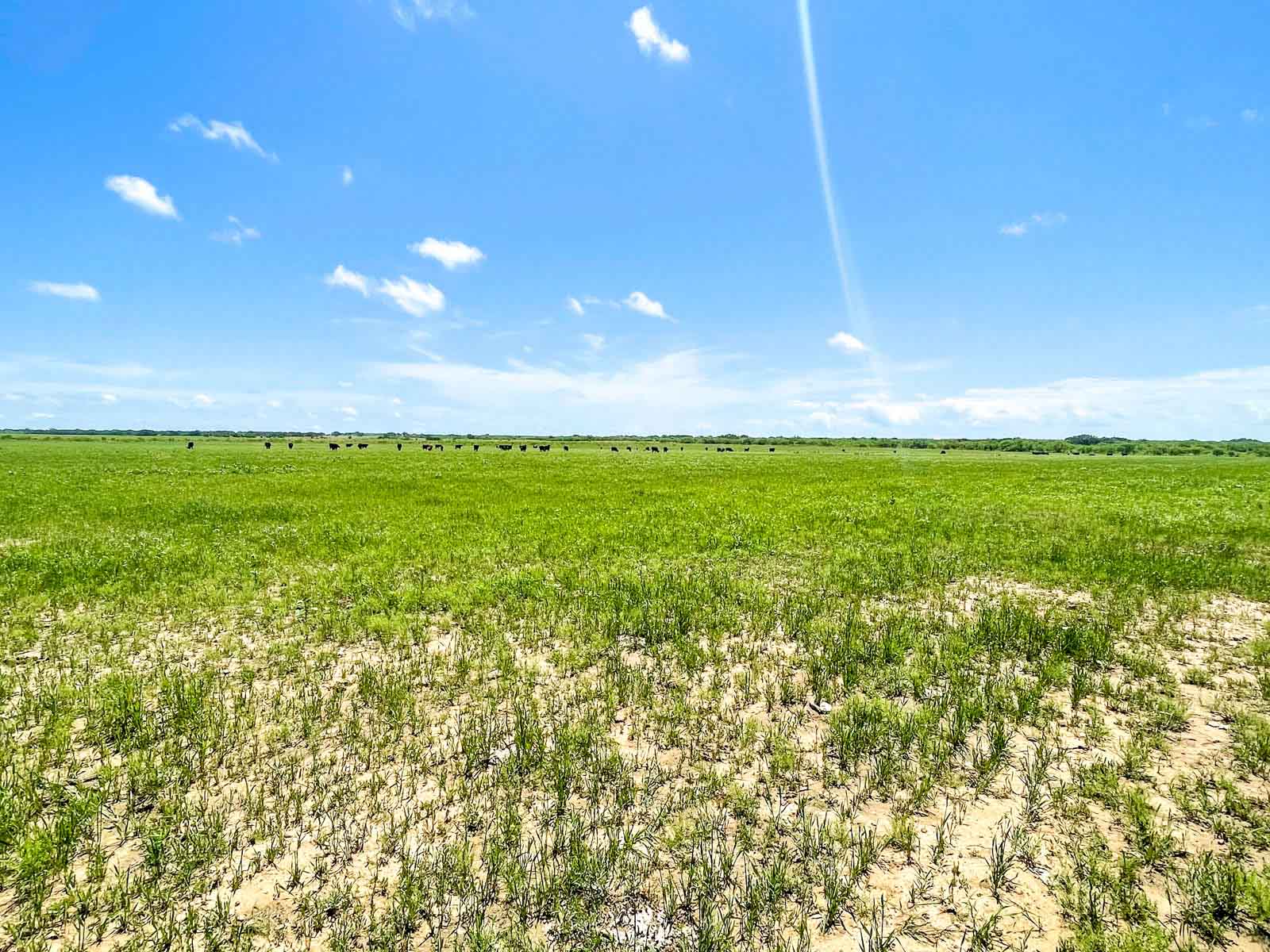 Willow Springs Ranch property picture 30 of 83