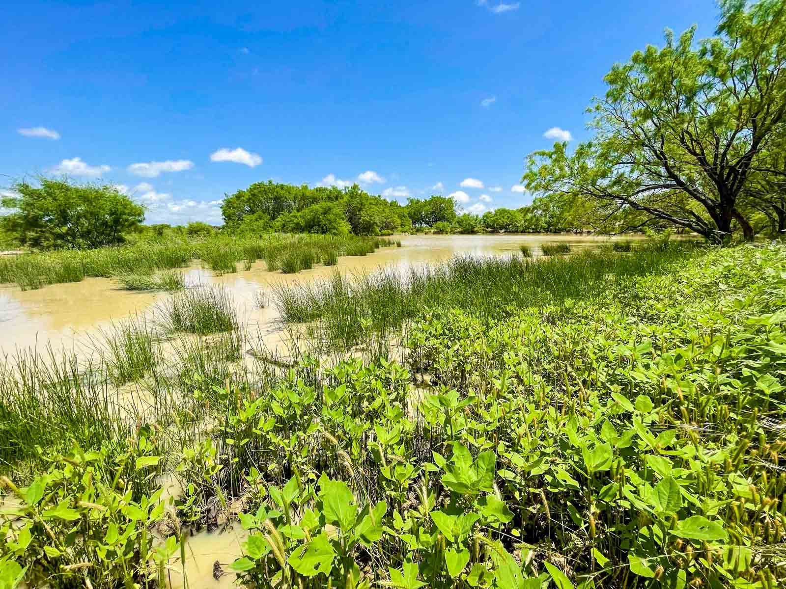 Willow Springs Ranch property picture 6 of 83