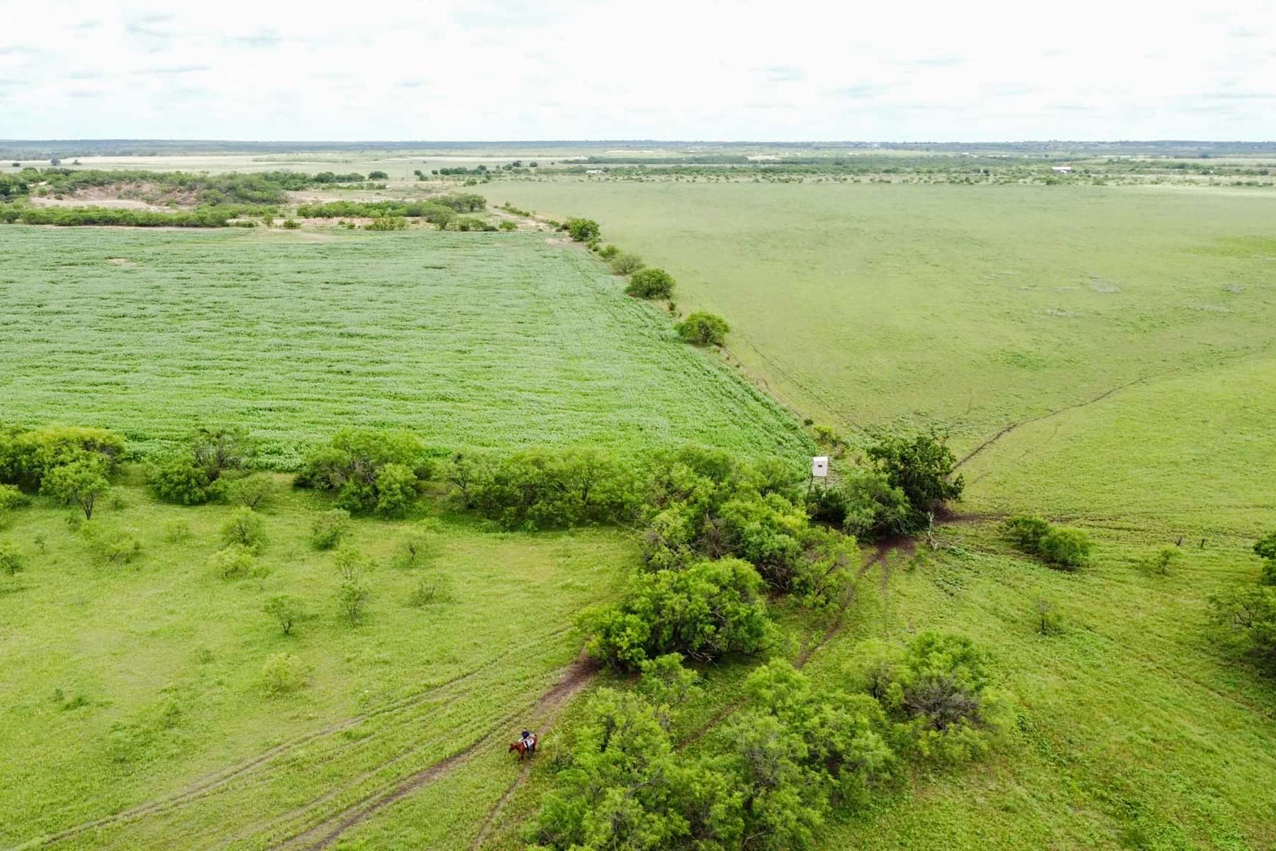 Willow Springs Ranch property picture 18 of 83