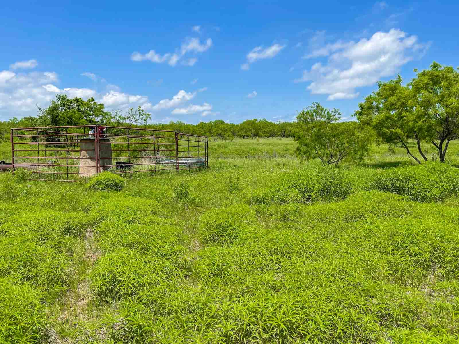 Willow Springs Ranch property picture 45 of 83
