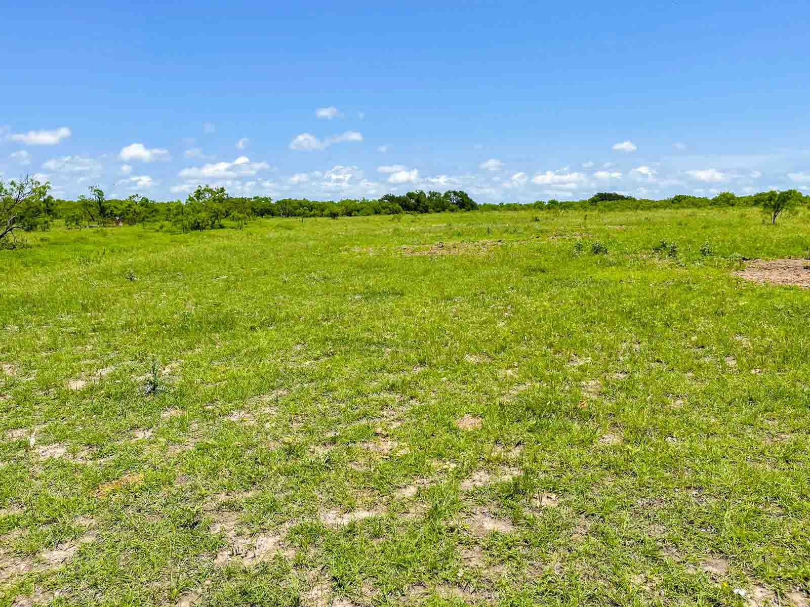 Willow Springs Ranch property picture 77 of 83