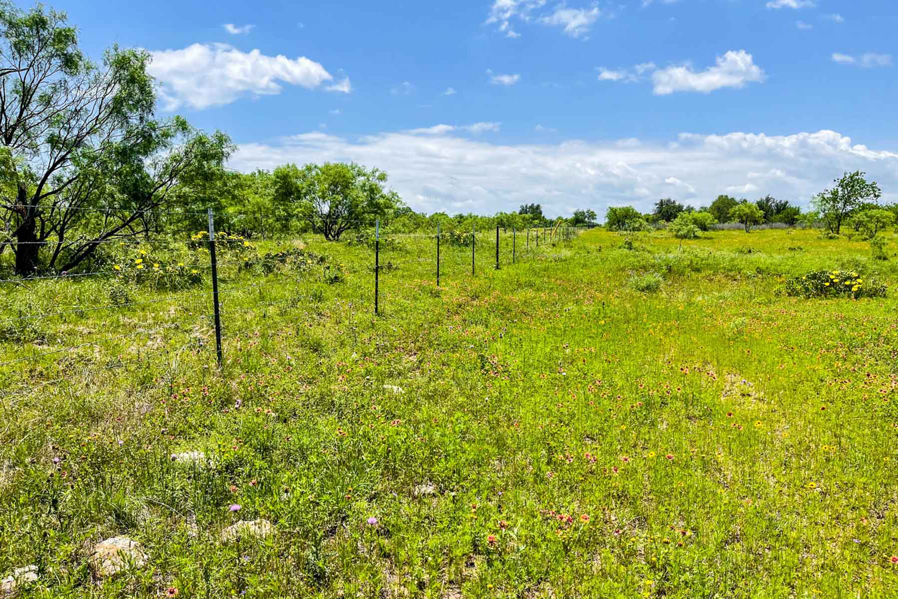 Willow Springs Ranch property picture 71 of 83