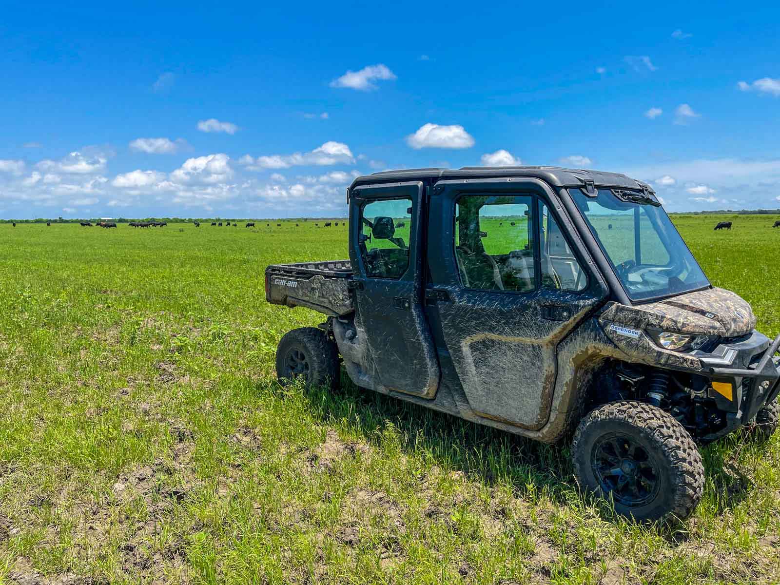 Willow Springs Ranch property picture 34 of 83
