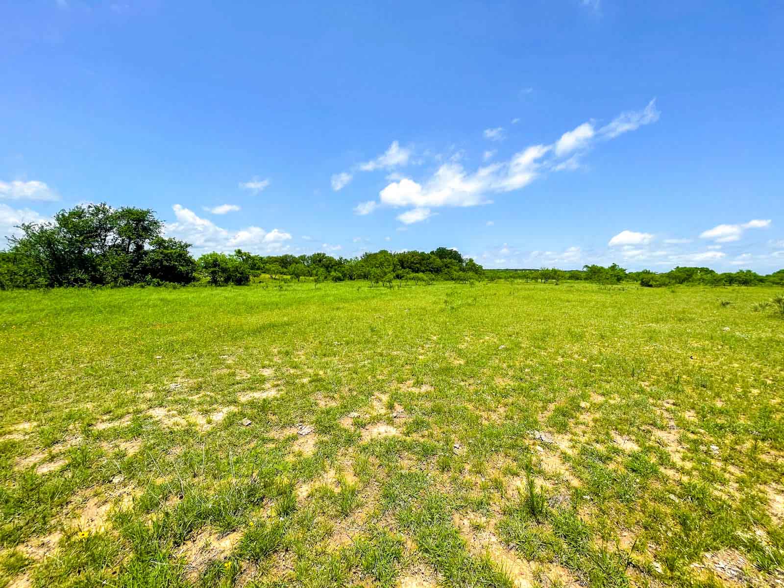 Willow Springs Ranch property picture 75 of 83
