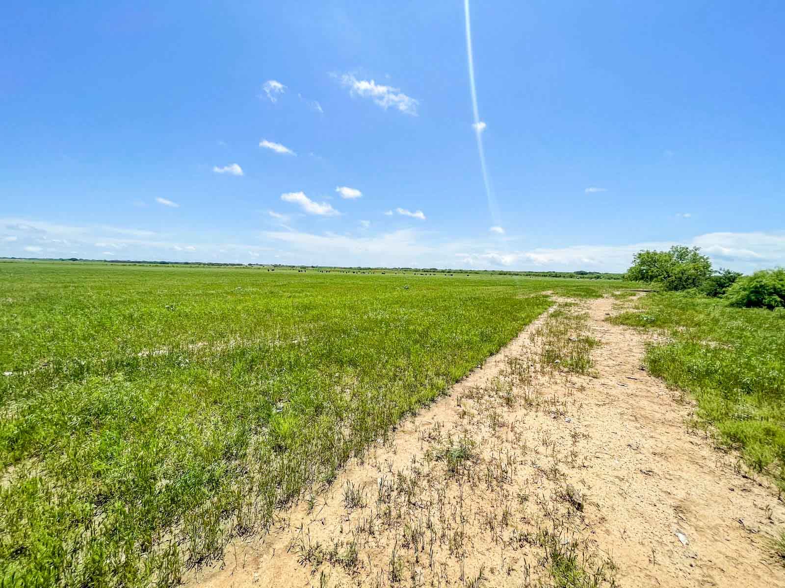 Willow Springs Ranch property picture 16 of 83
