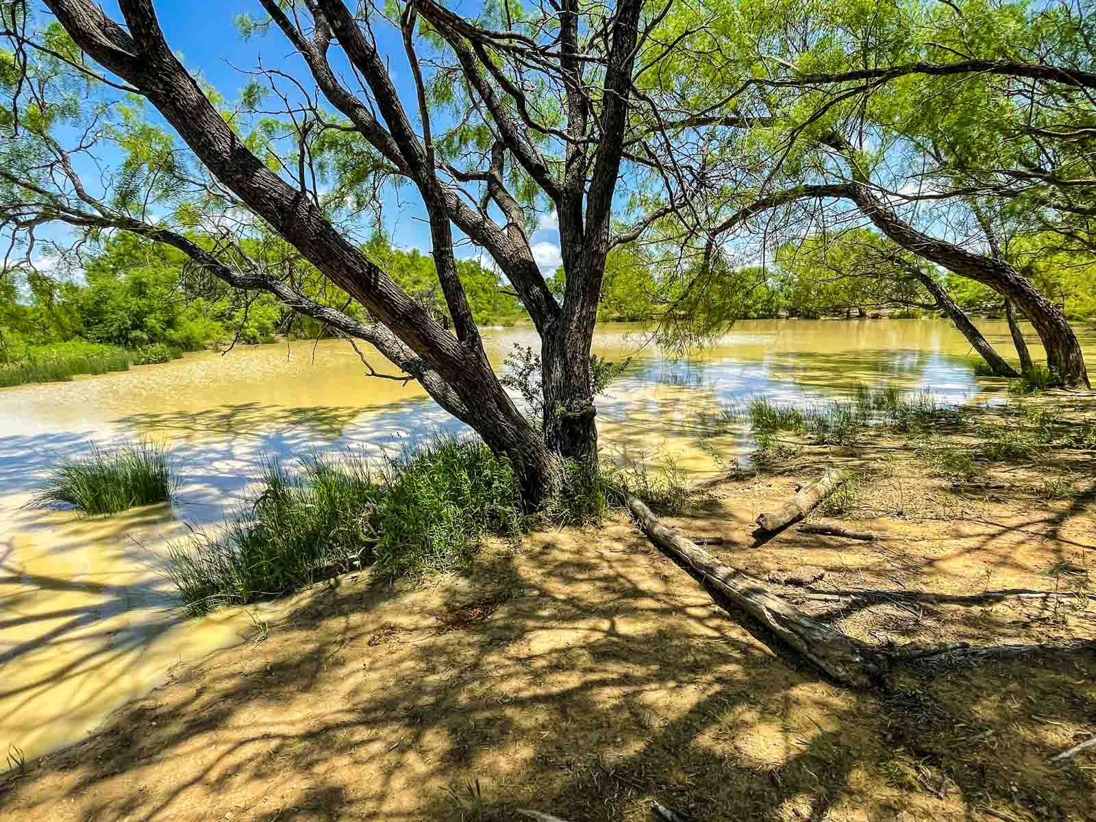 Willow Springs Ranch property picture 8 of 83