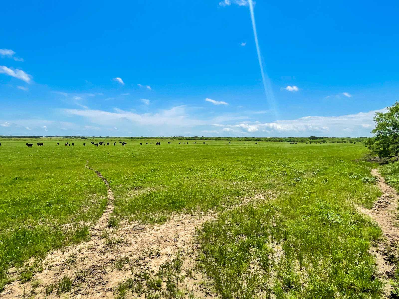 Willow Springs Ranch property picture 25 of 83