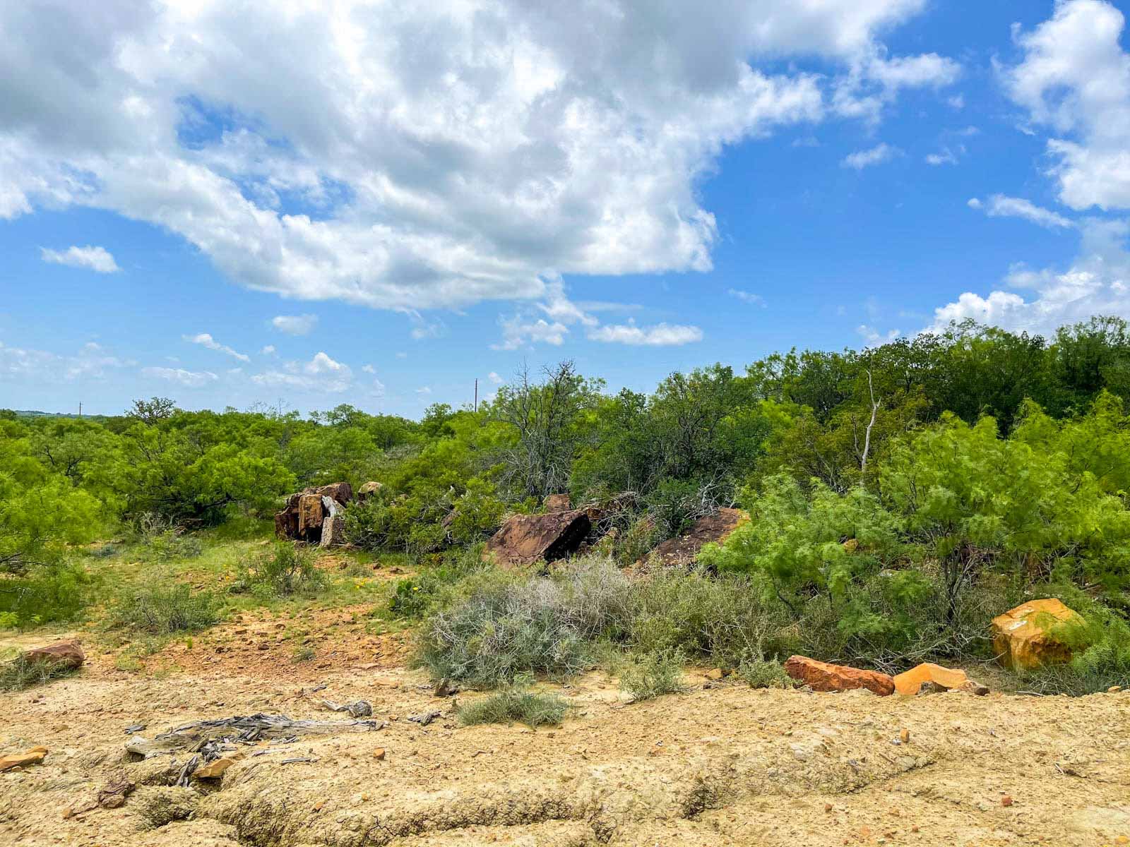 Willow Springs Ranch property picture 76 of 83