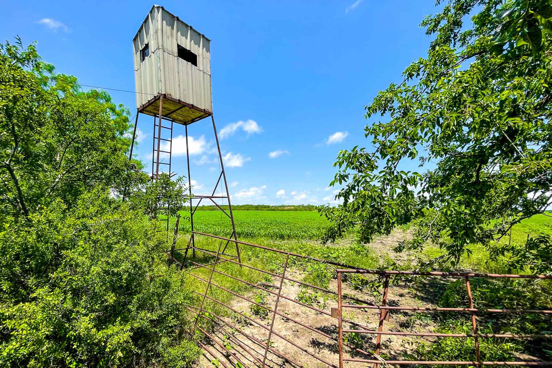 Willow Springs Ranch property picture 4 of 83