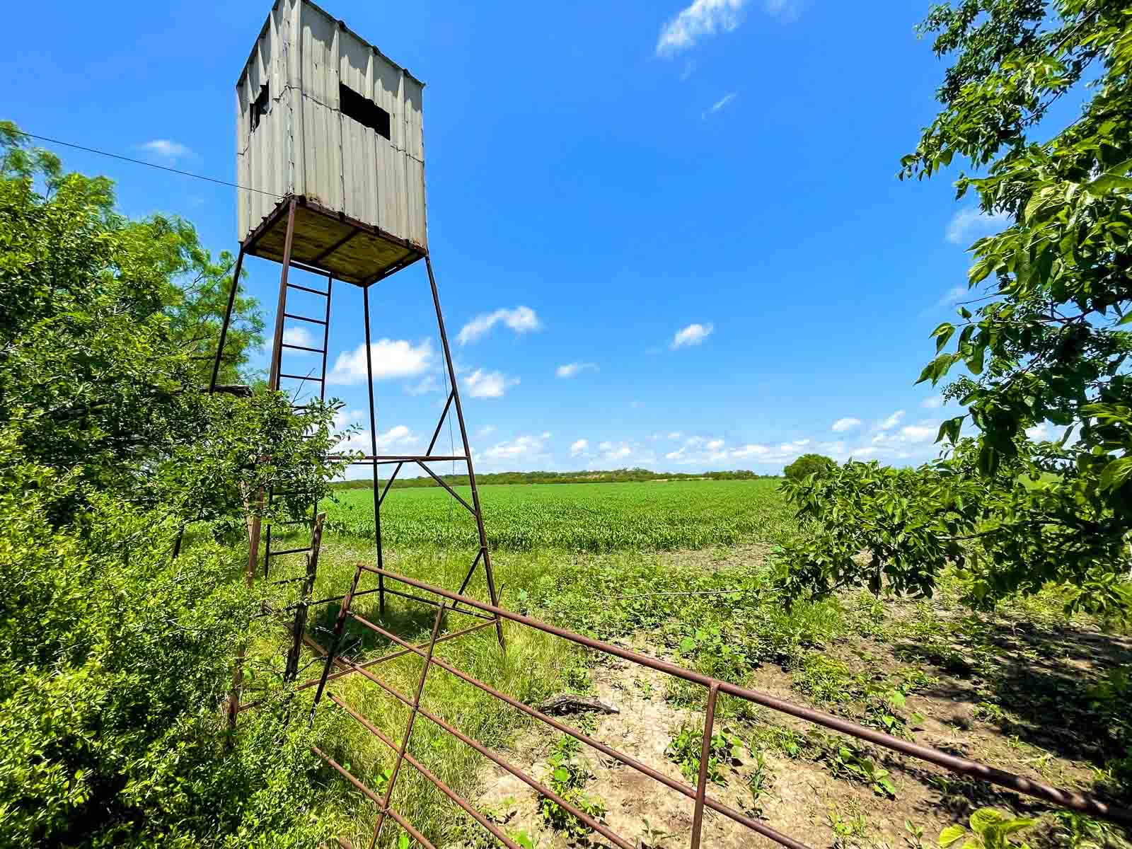 Willow Springs Ranch property picture 22 of 83