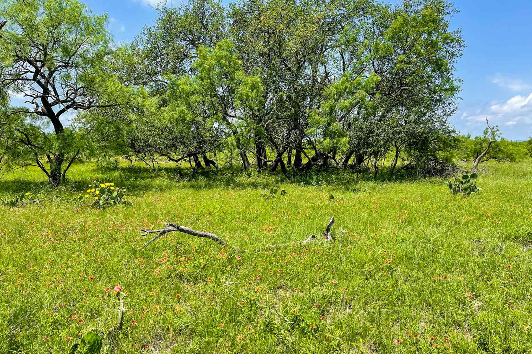 Willow Springs Ranch property picture 27 of 83
