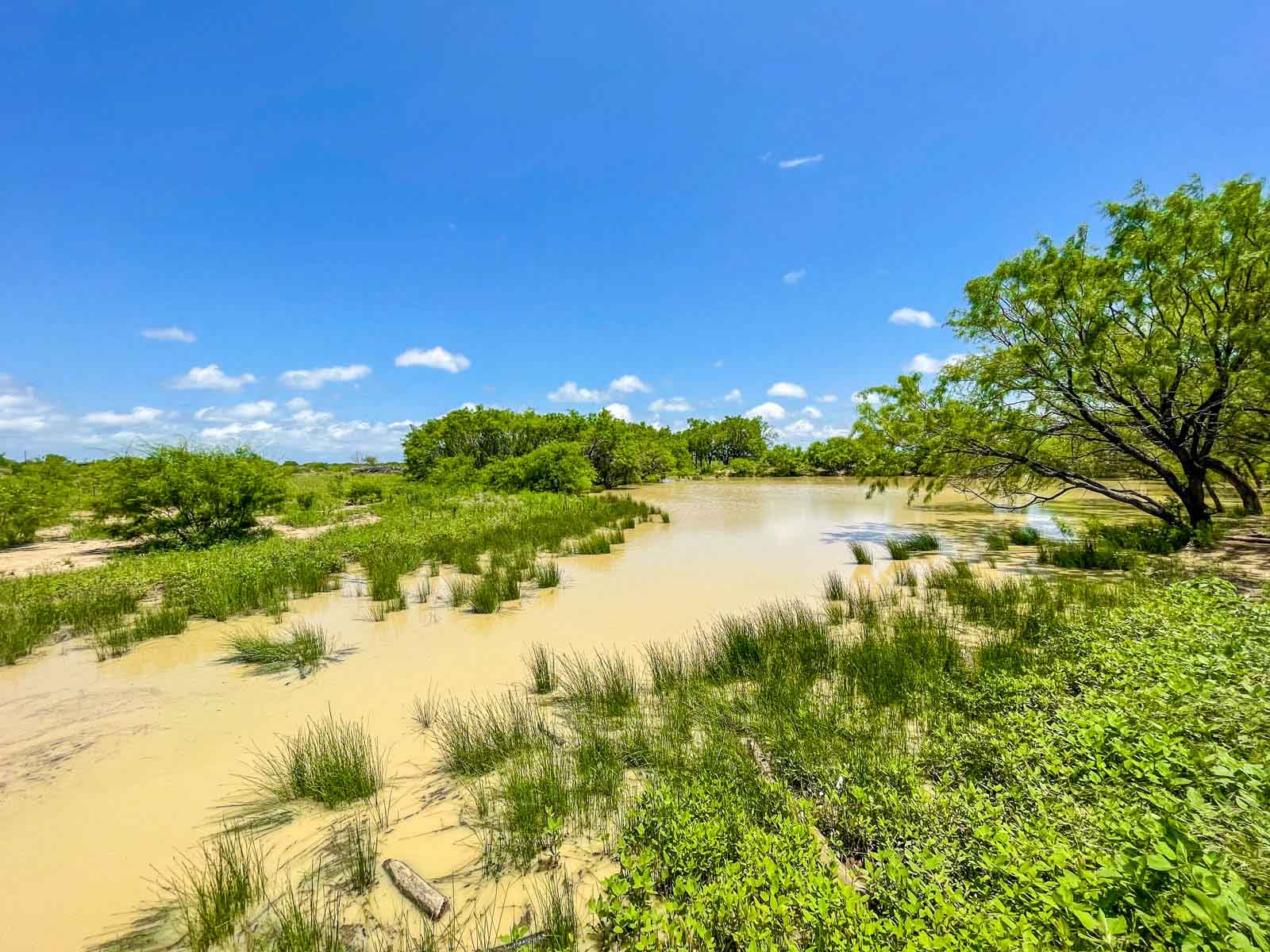 Willow Springs Ranch property picture 26 of 83
