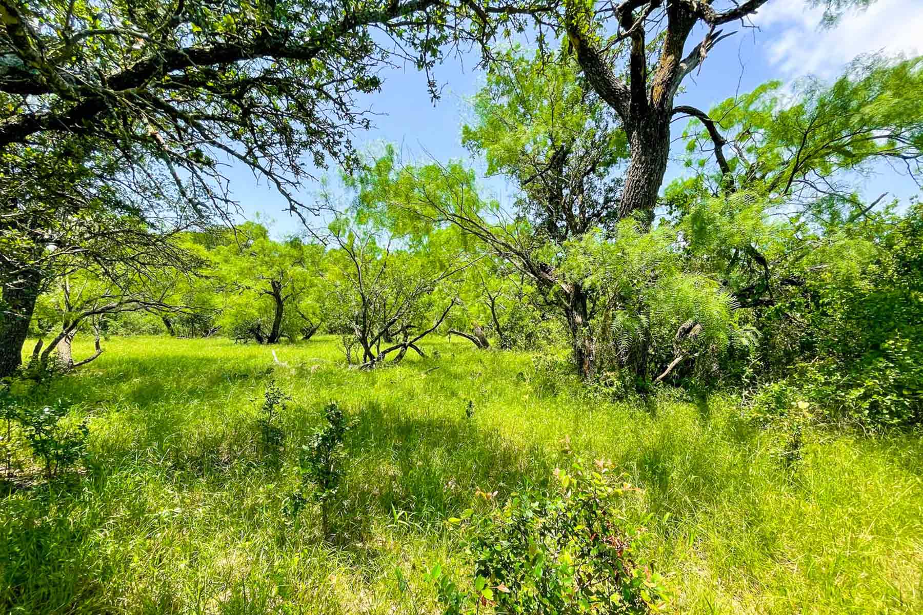 Willow Springs Ranch property picture 23 of 83