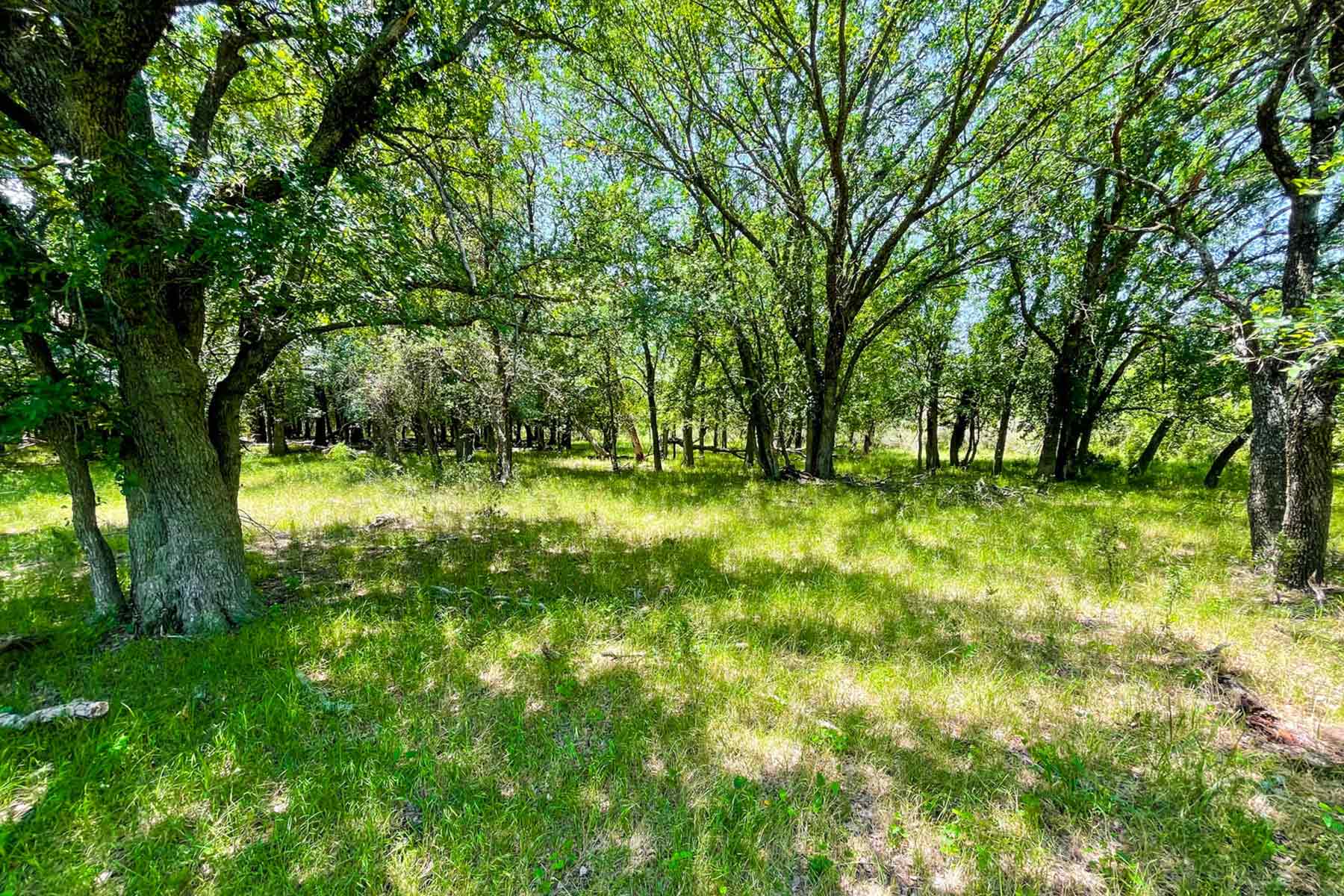 Willow Springs Ranch property picture 72 of 83