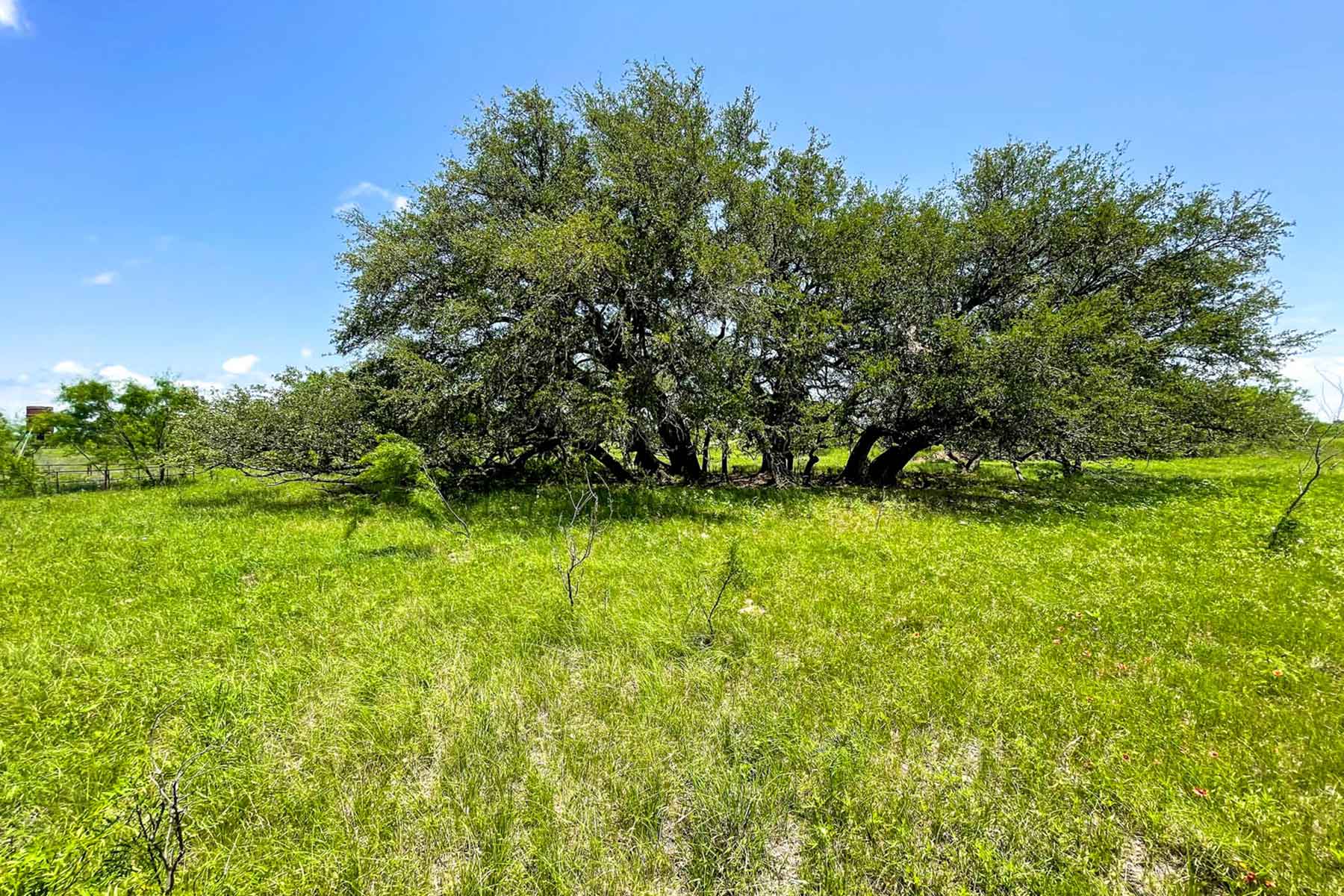 Willow Springs Ranch property picture 74 of 83