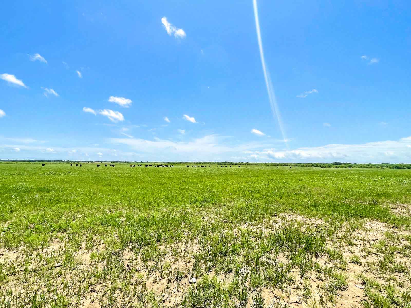 Willow Springs Ranch property picture 58 of 83