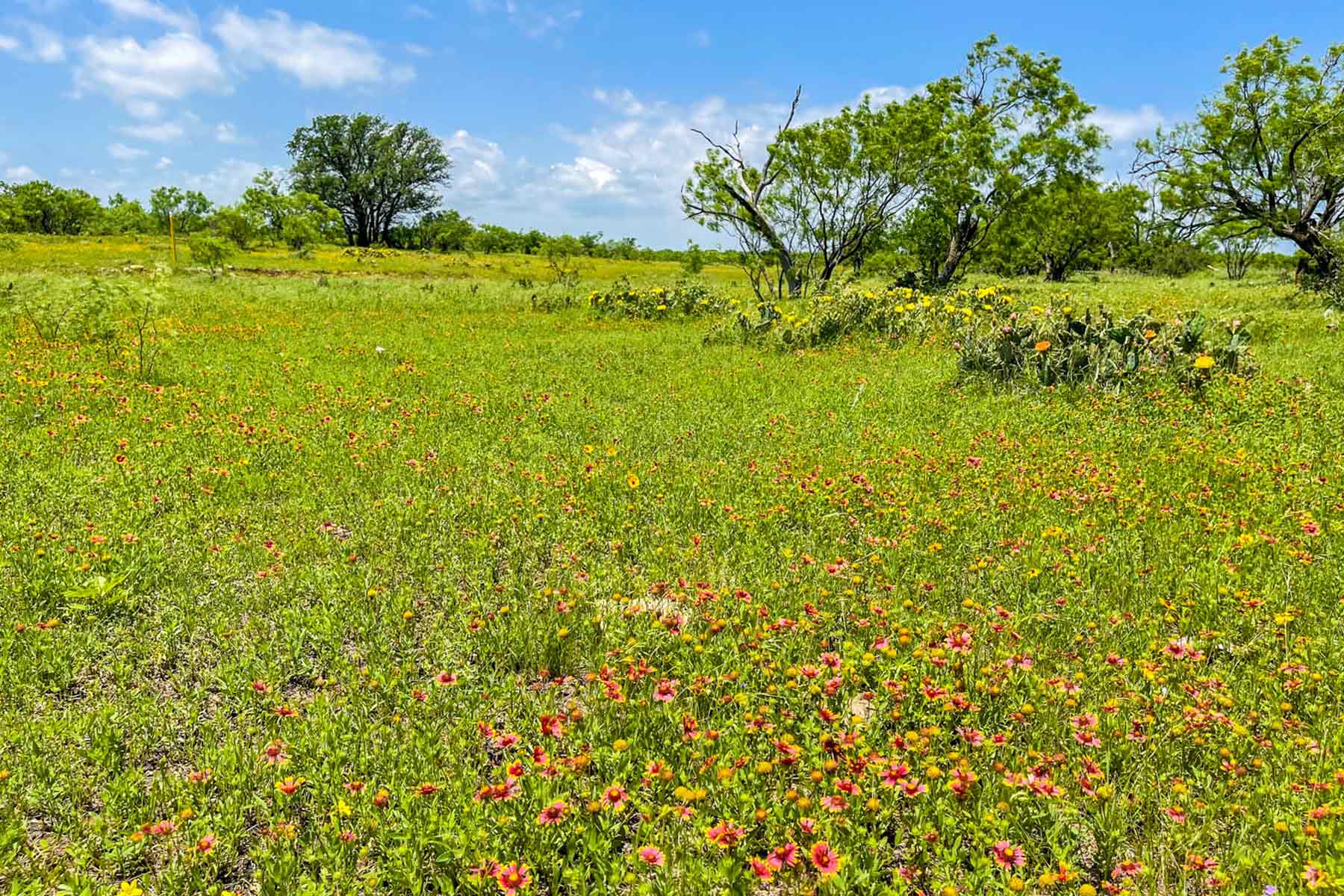 Willow Springs Ranch property picture 68 of 83
