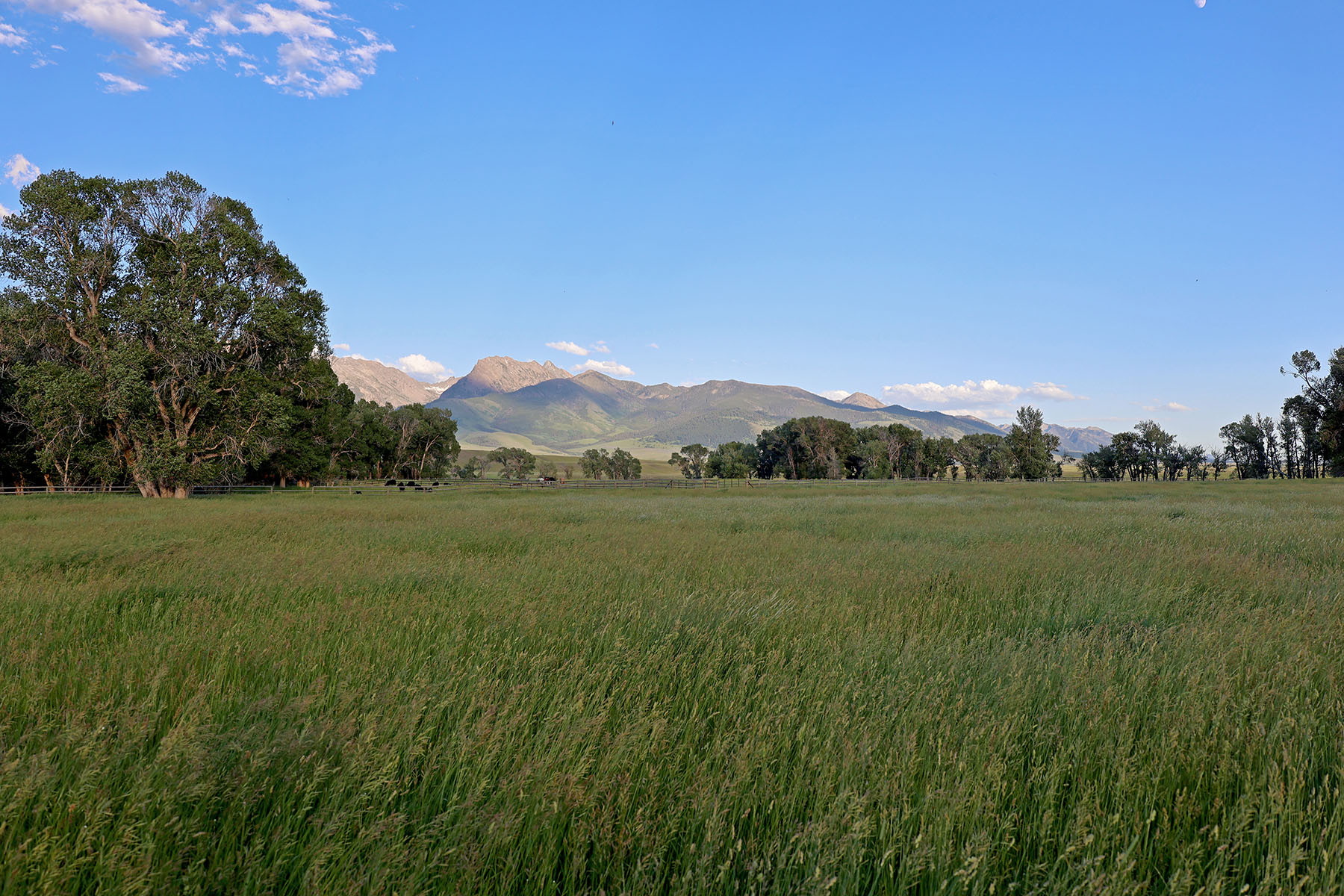 Indian Creek Ranch property picture 63 of 72